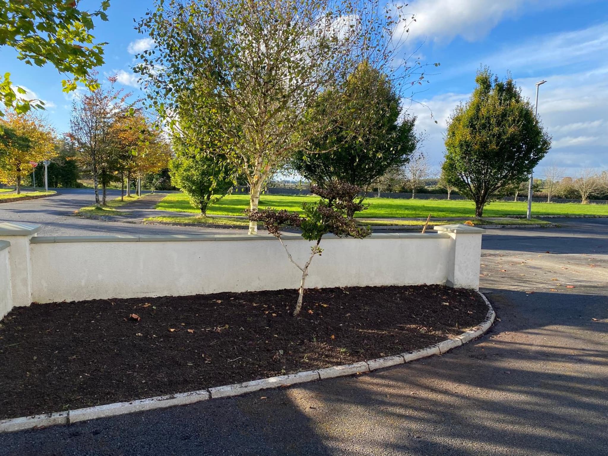 Claremorris - Near Knock Airport photo 6