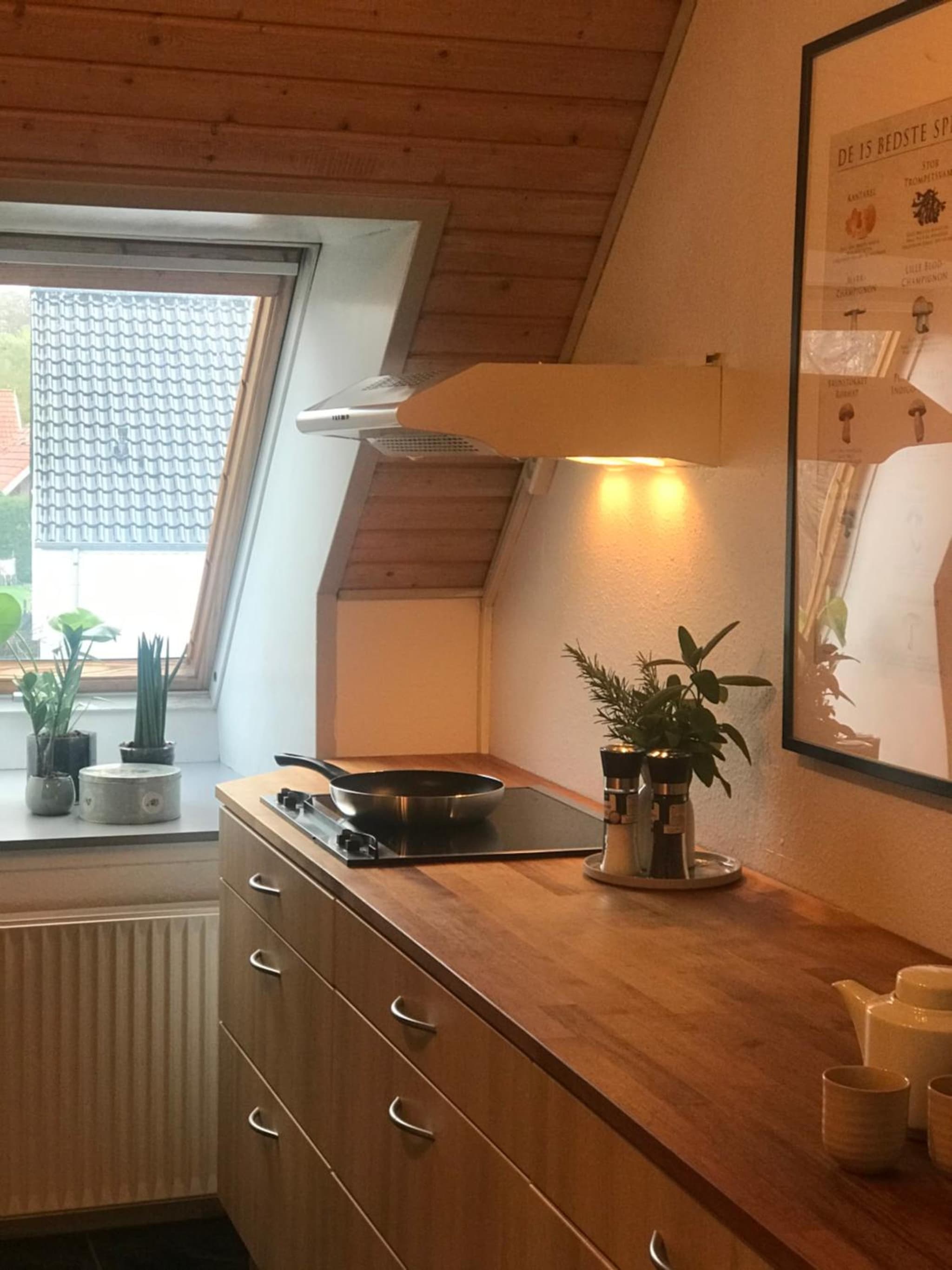 Lejlighed i landlige omgivelser photo 8