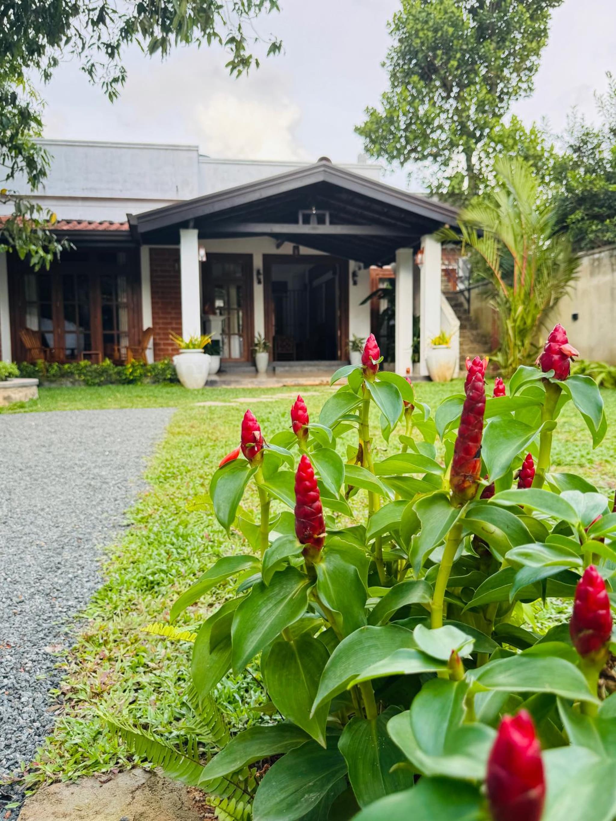 Nivartana Villa and Purana Ayurveda Center