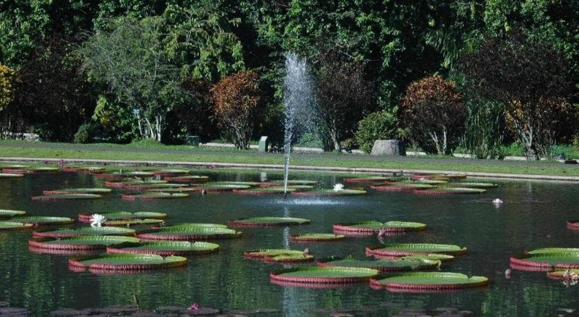 Bogor Valley Hotel photo 8