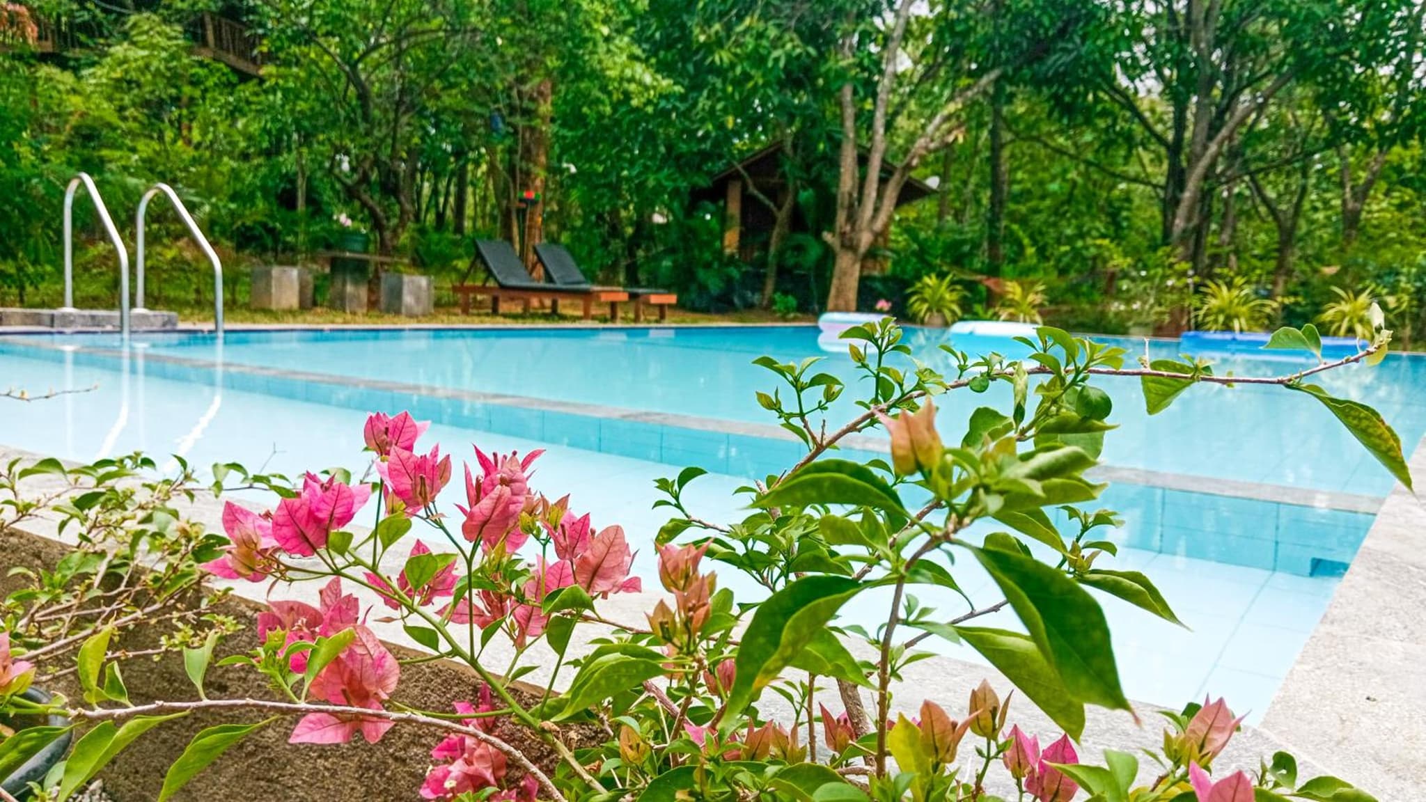 Lotus Eco Villa photo 2