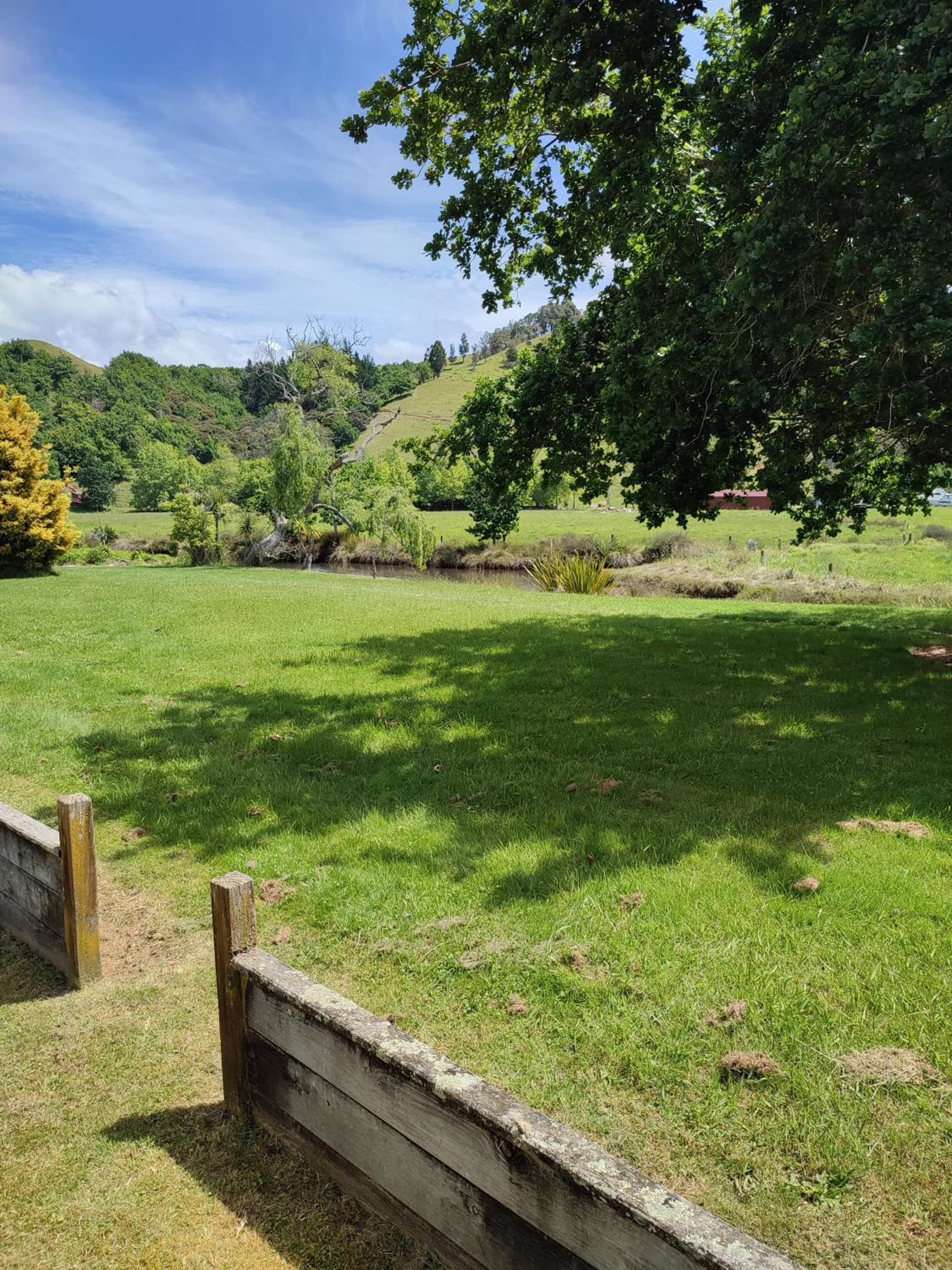 Whitianga Luxurious studio room photo 3