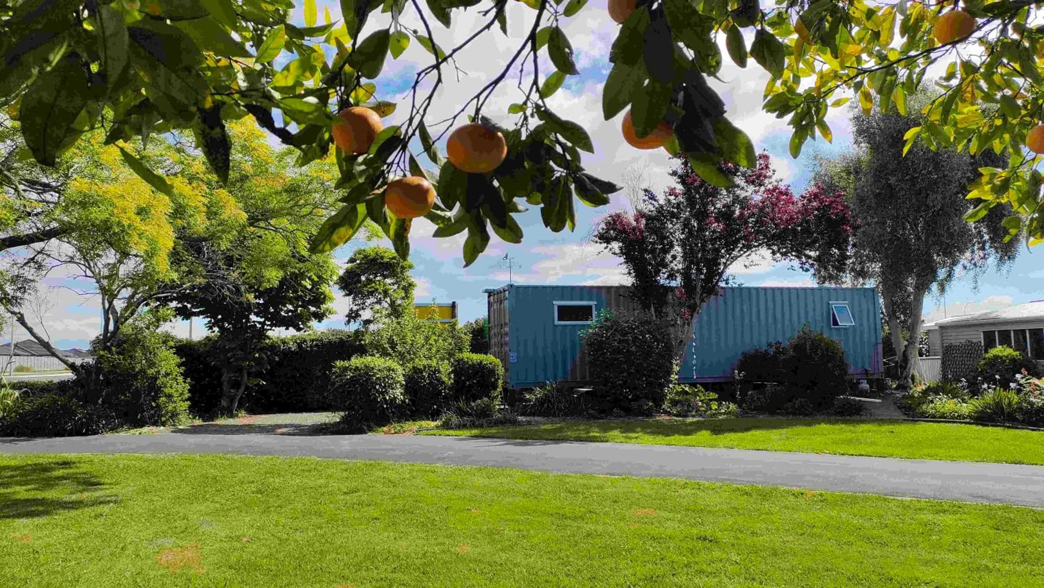 Container stay photo 3