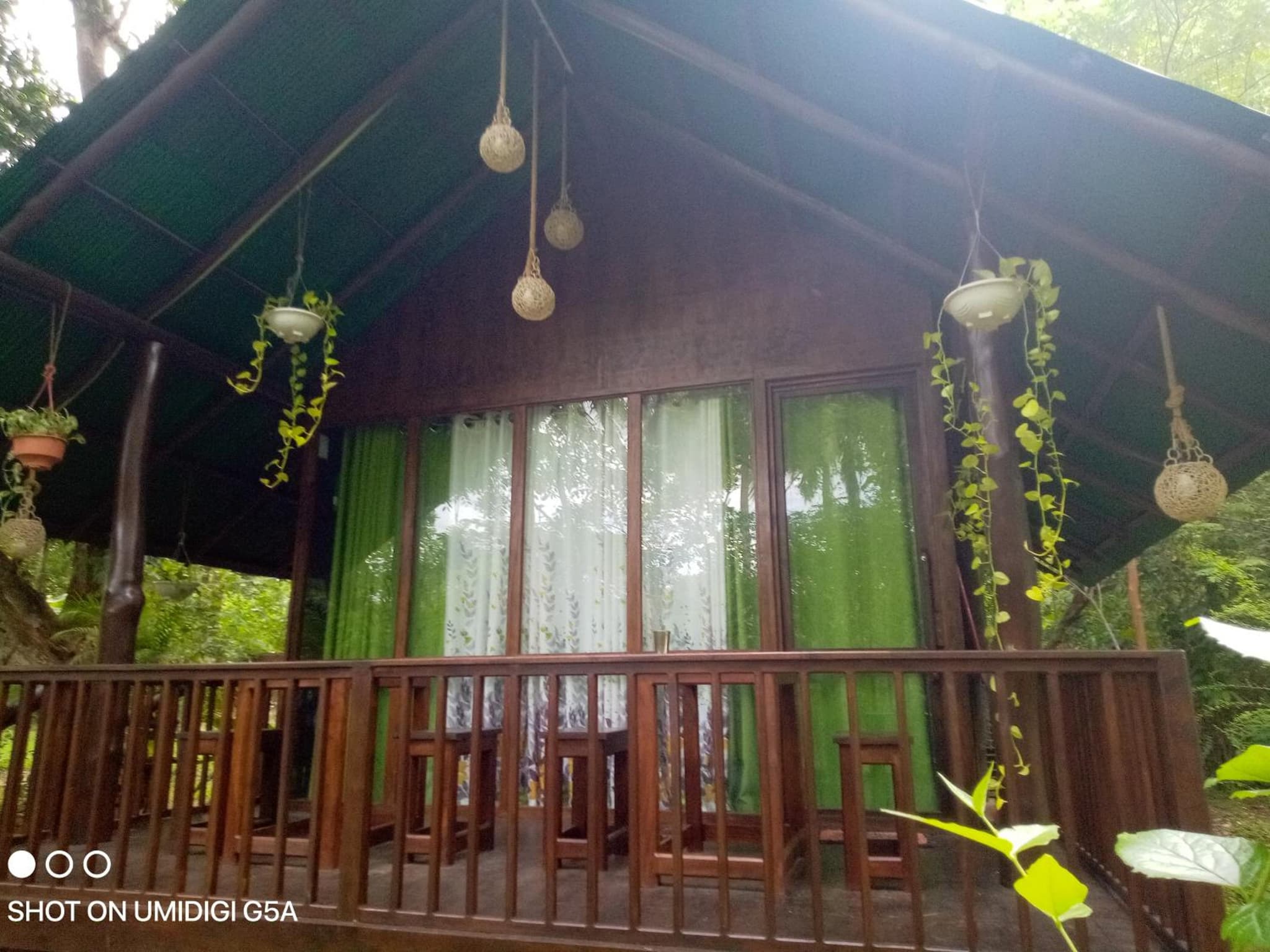 Coconut Tree House photo 3