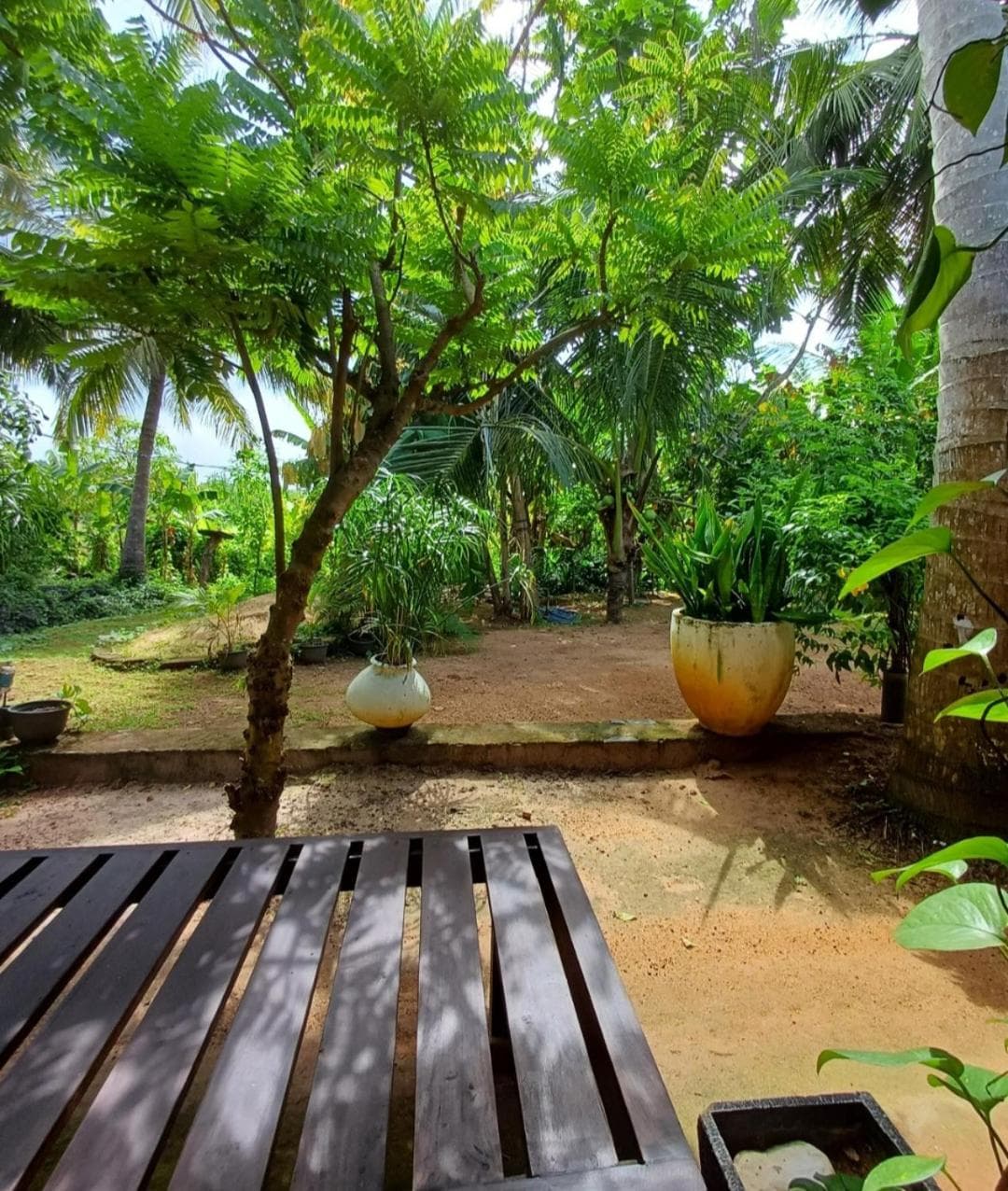 Turtle Island Cabana photo 6
