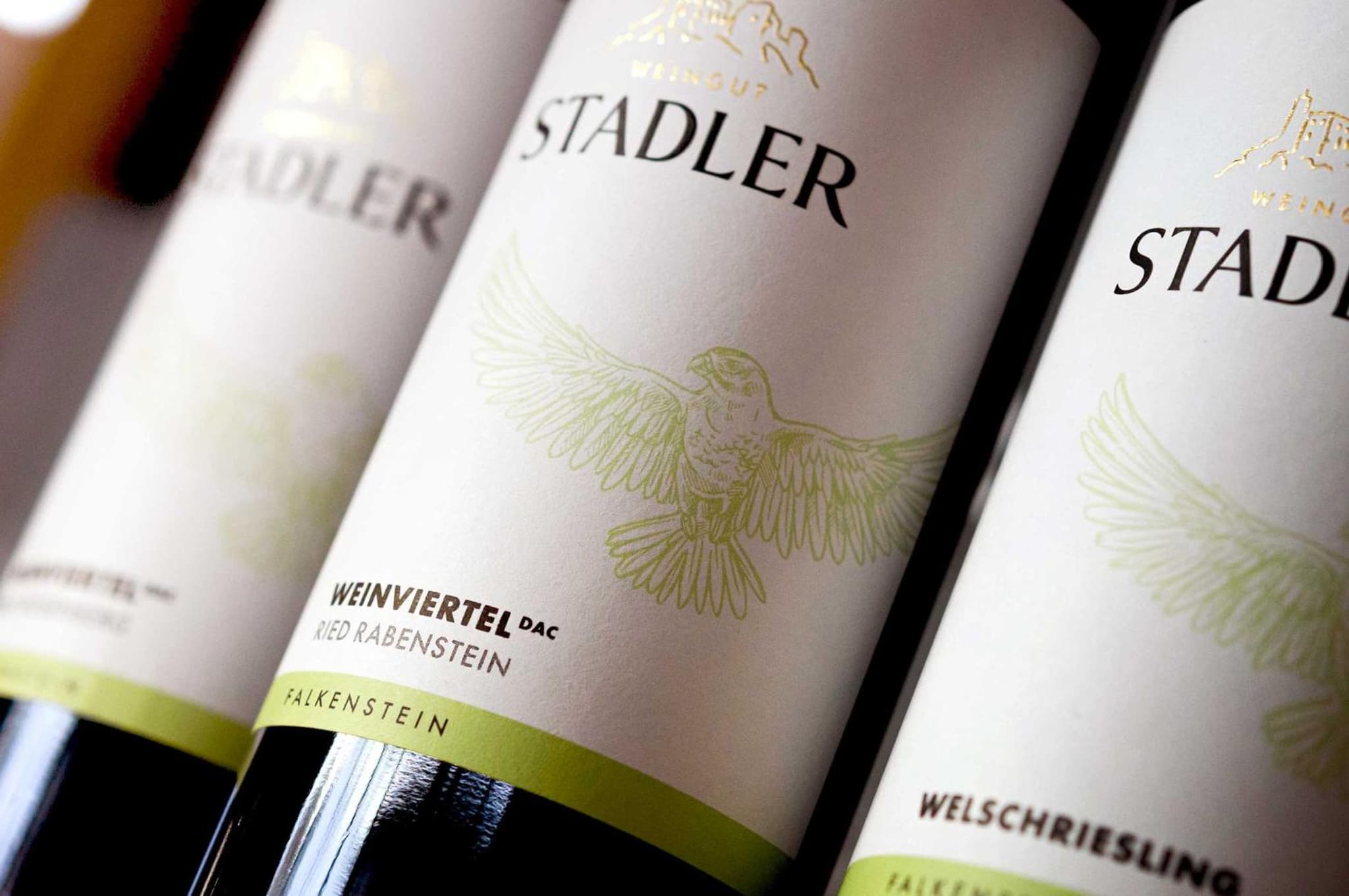 Weingut Stadler photo 8