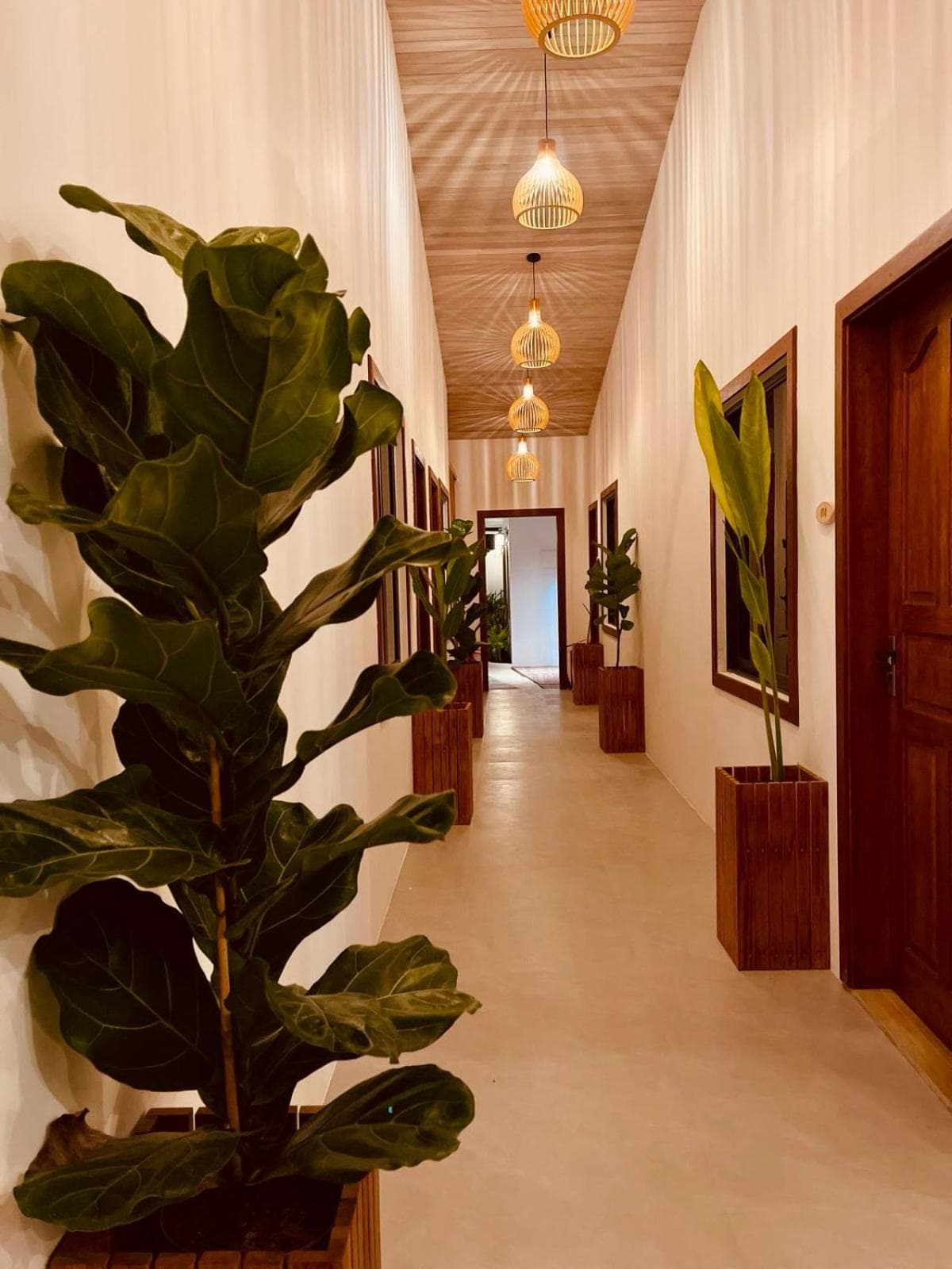 Oasis Dhigurah photo 6