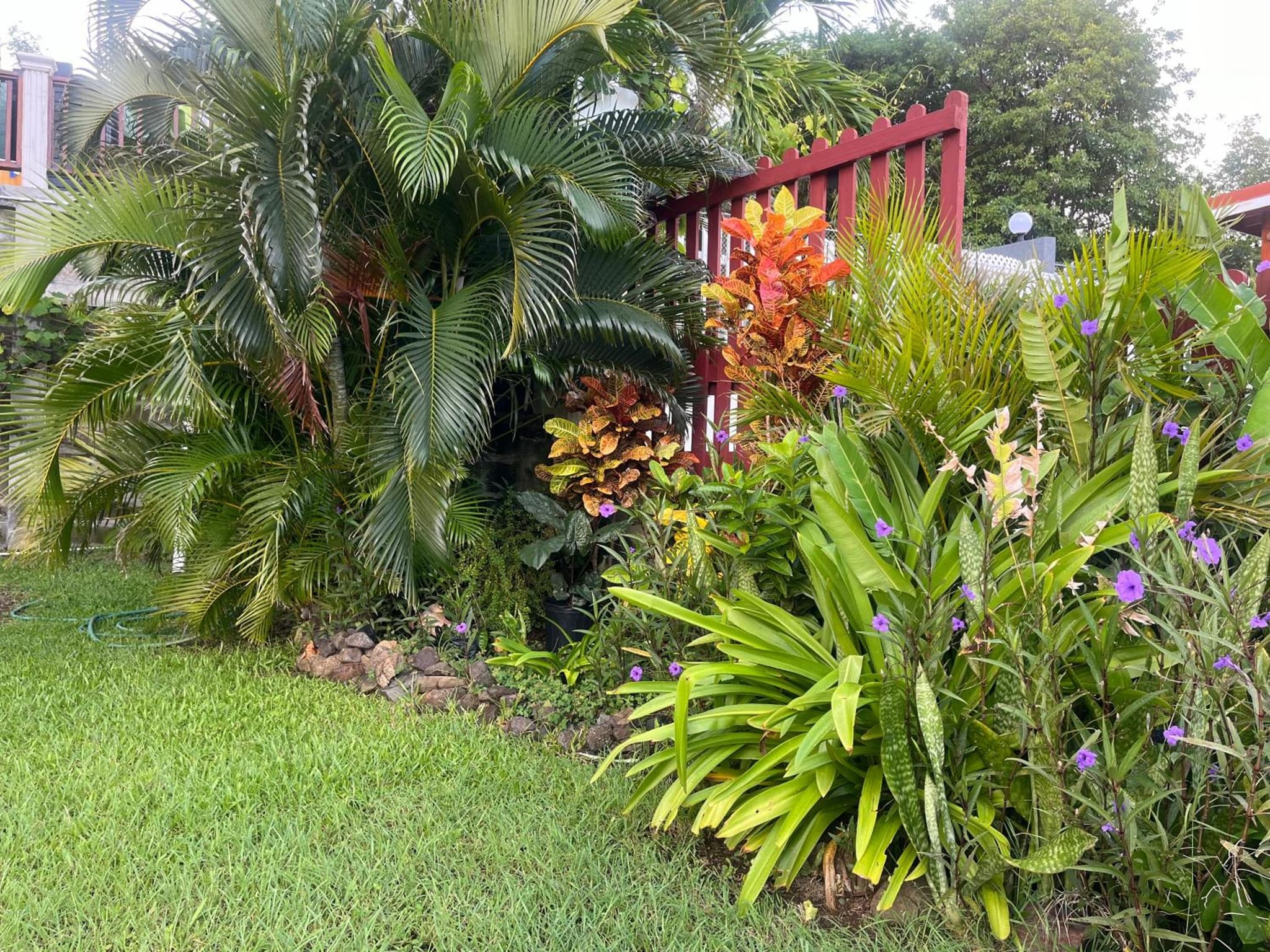 Belle Breeze Haven photo 5