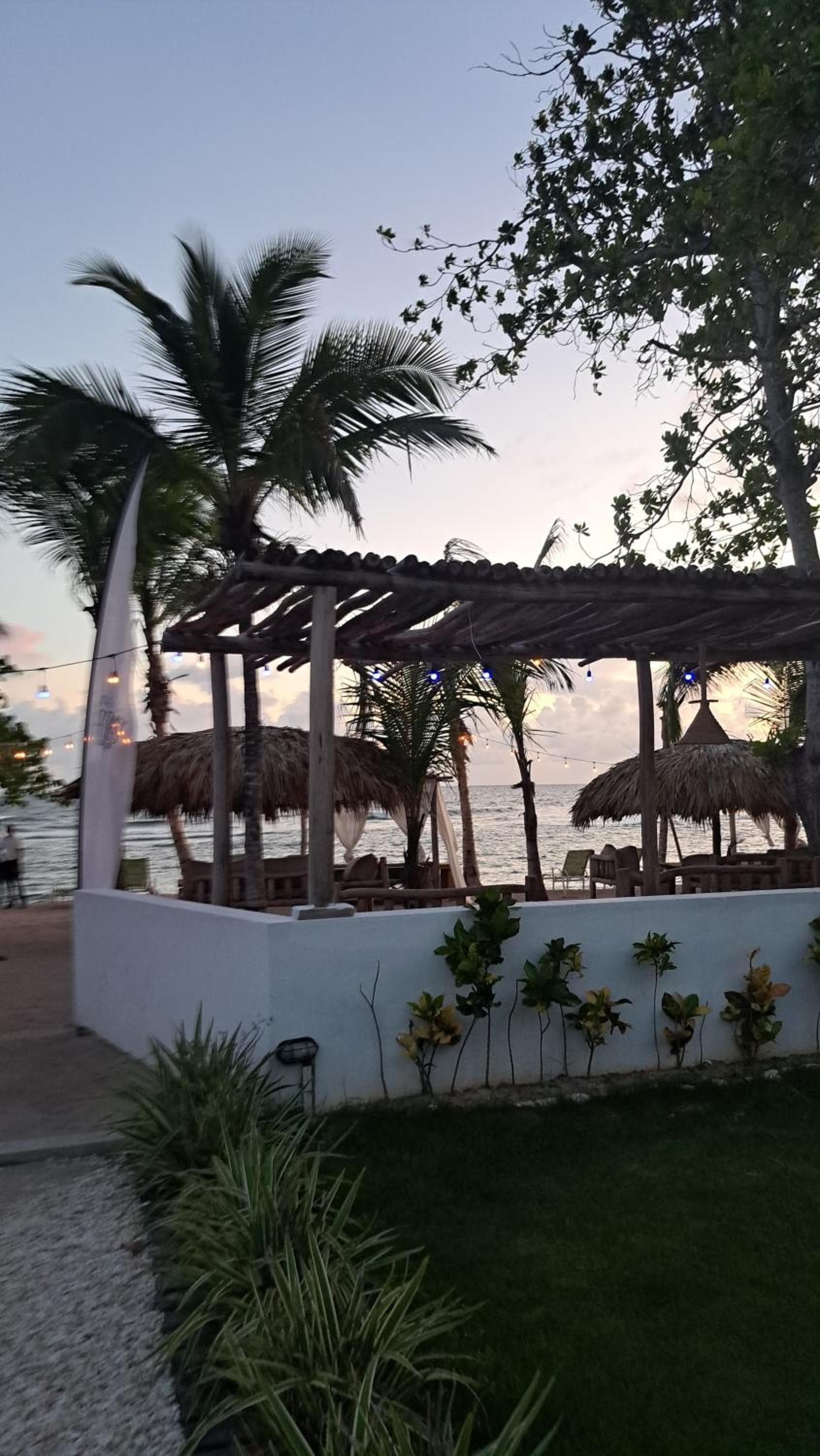Los corozos Guababerry photo 5