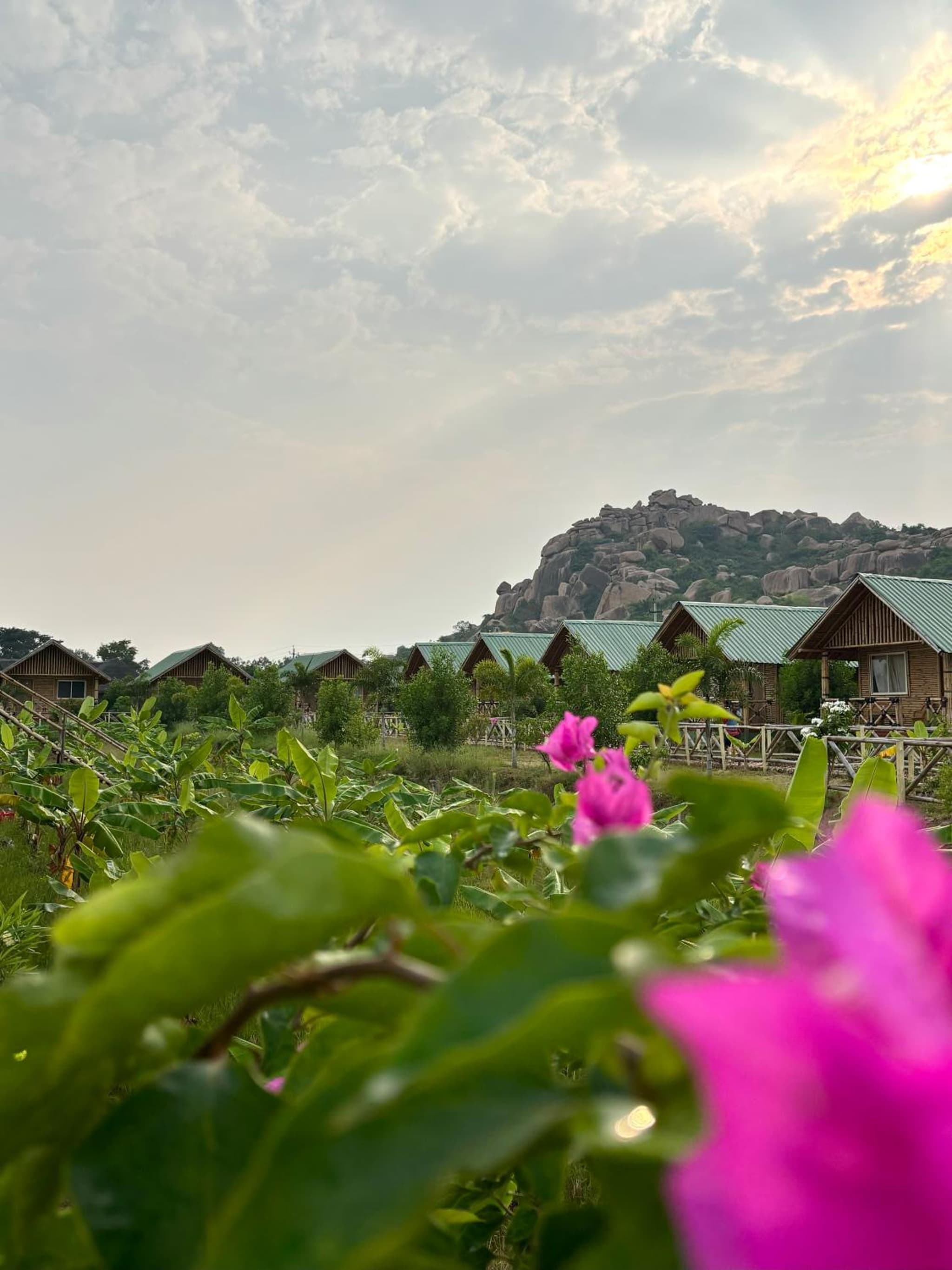 Mowgli's Cafe Hampi & Guest House photo 9