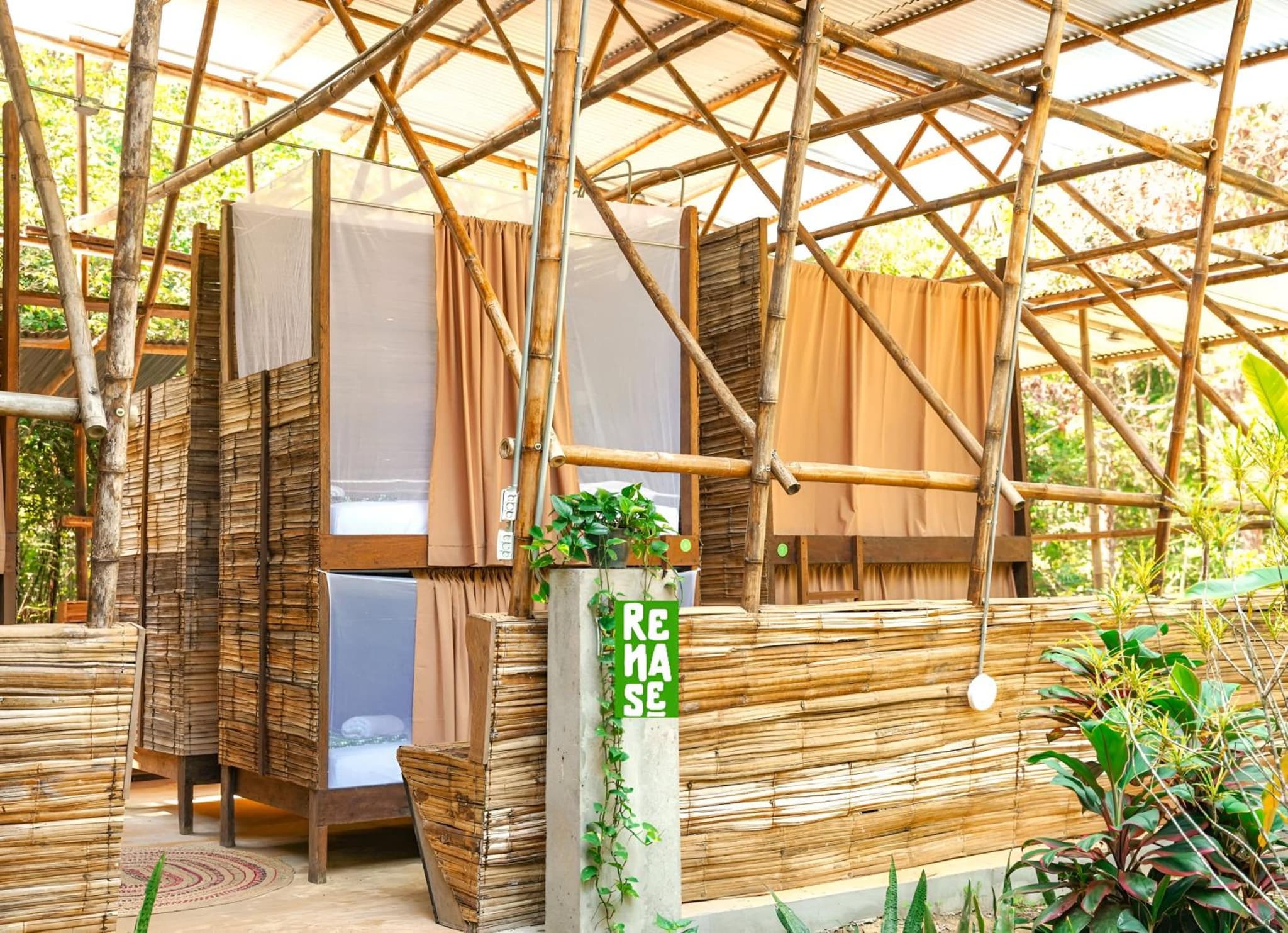 Eco Hostel RENASE Jungle Stay & Tours