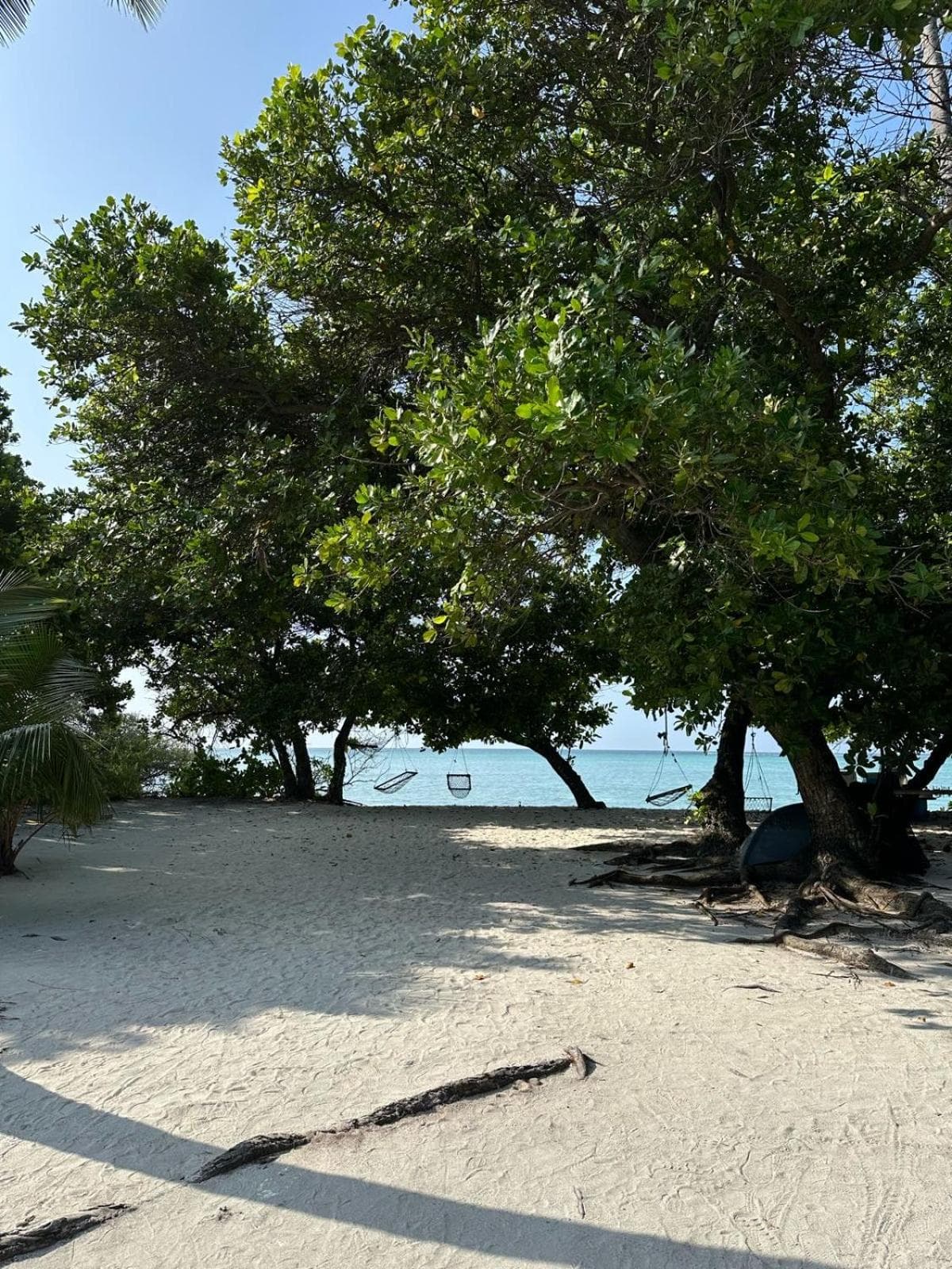 Mathiveri Cool Breeze photo 8