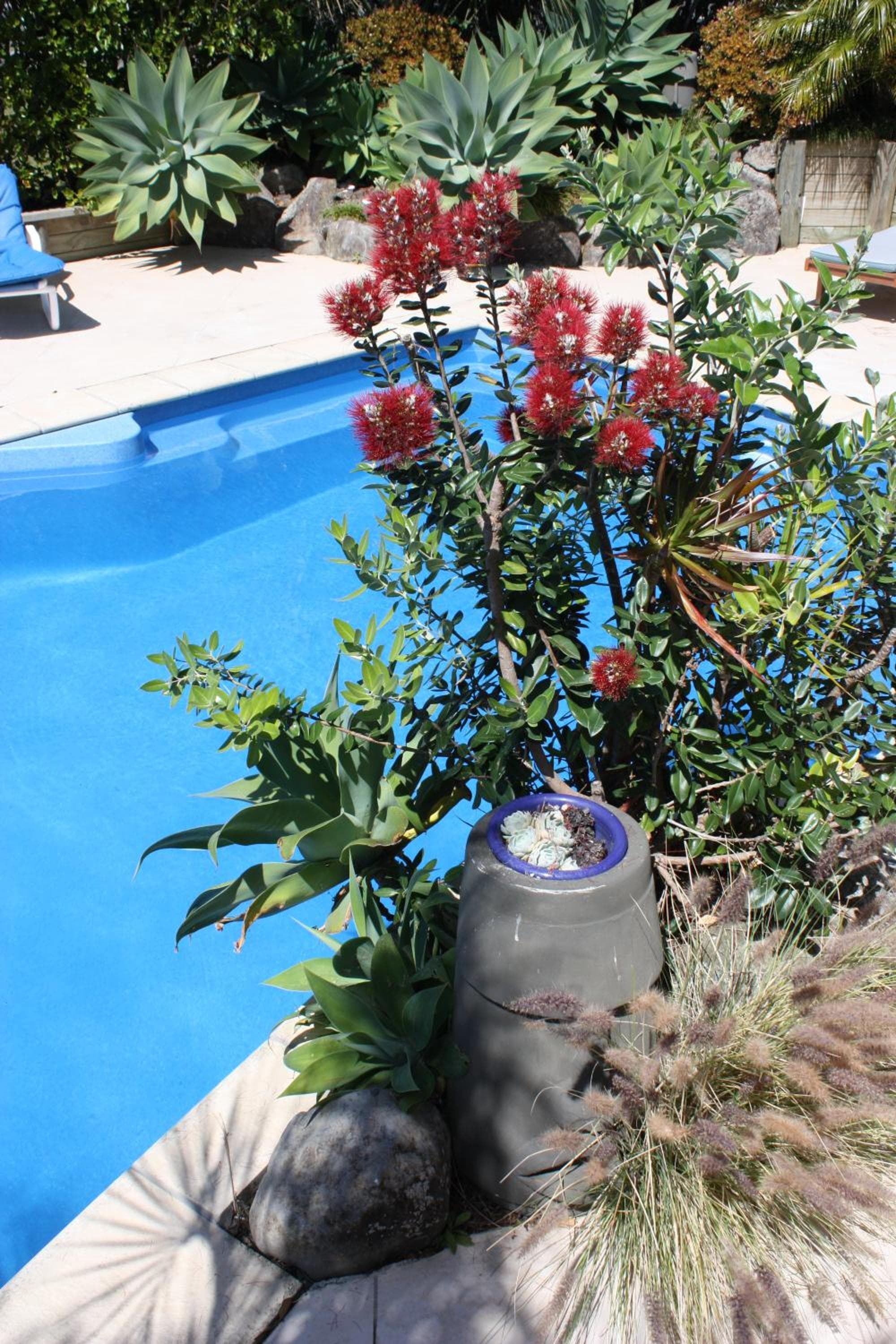 Snells Beach Motel photo 4