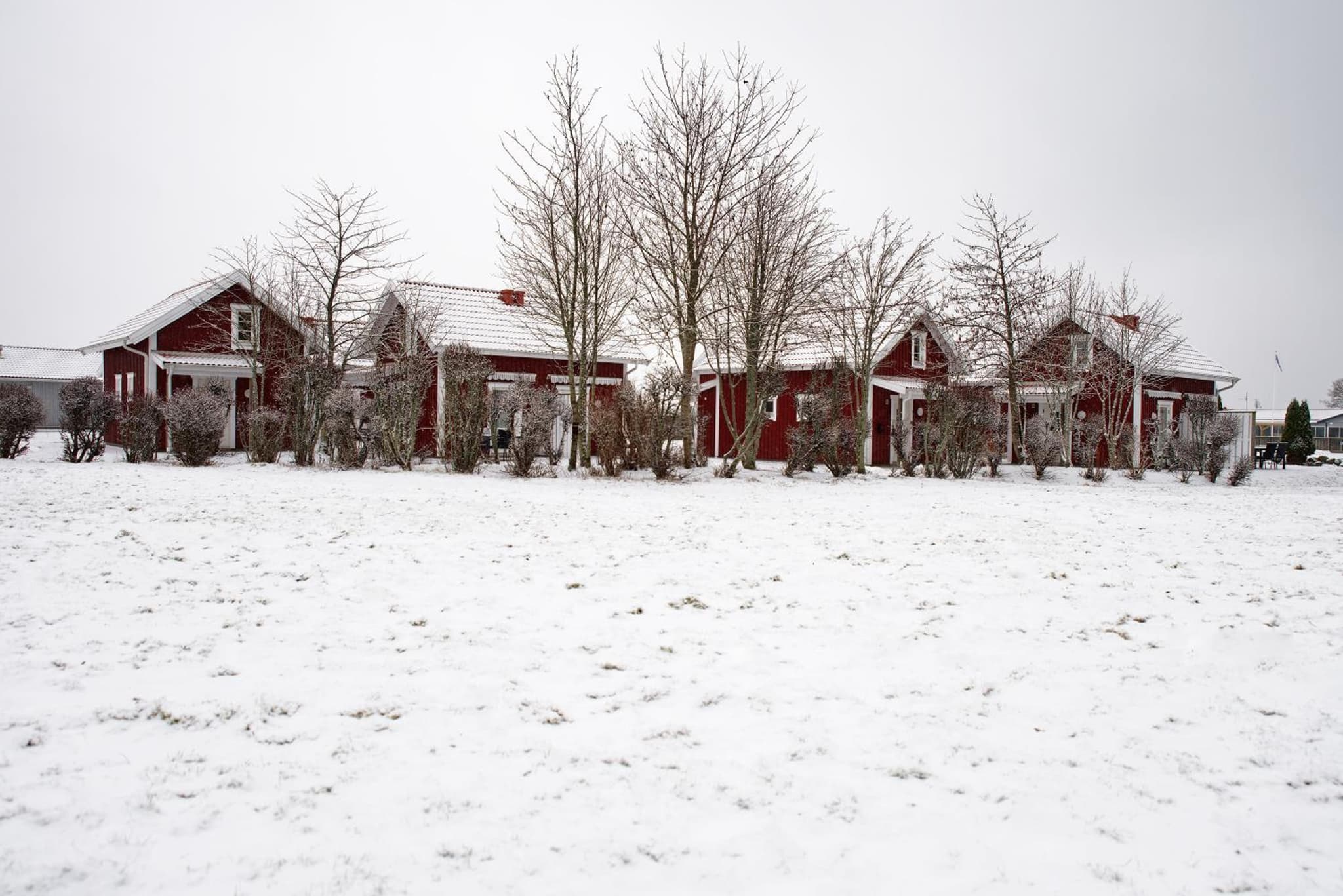 Apelvikens Camping & Cottages photo 5