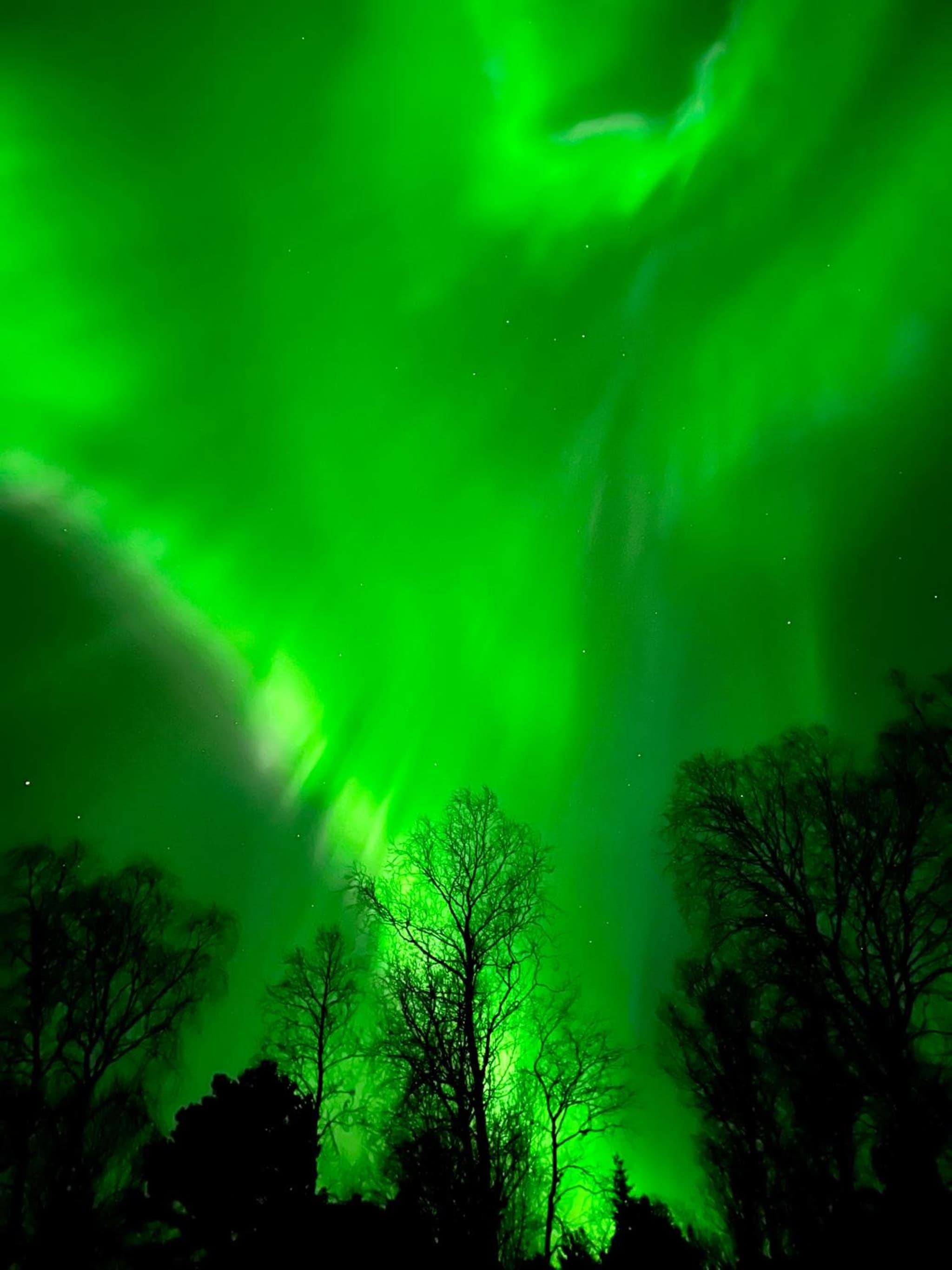 Stilren leilighet i Narvik!