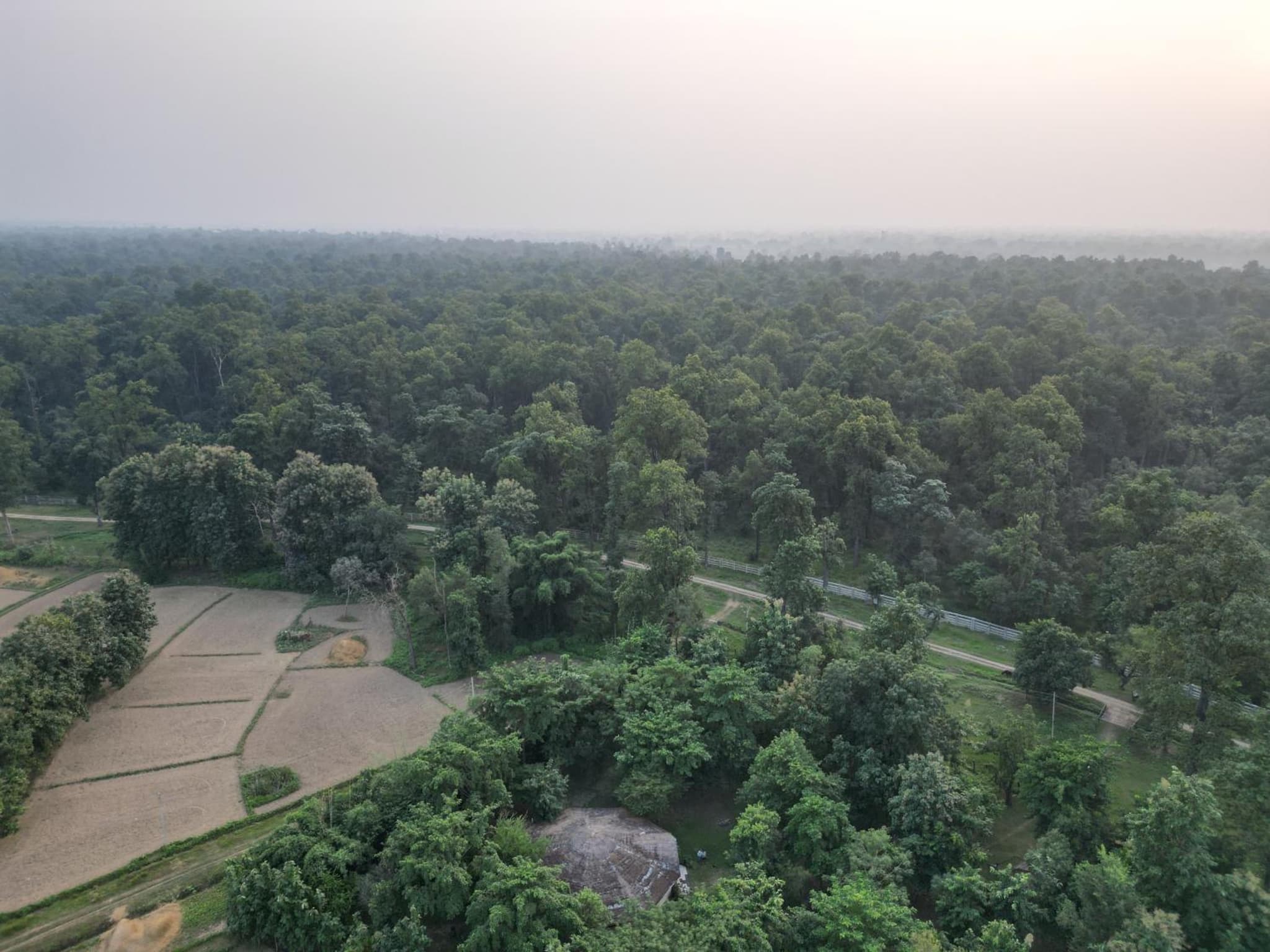 Karnali jungle camp - camping side in Bardia photo 7