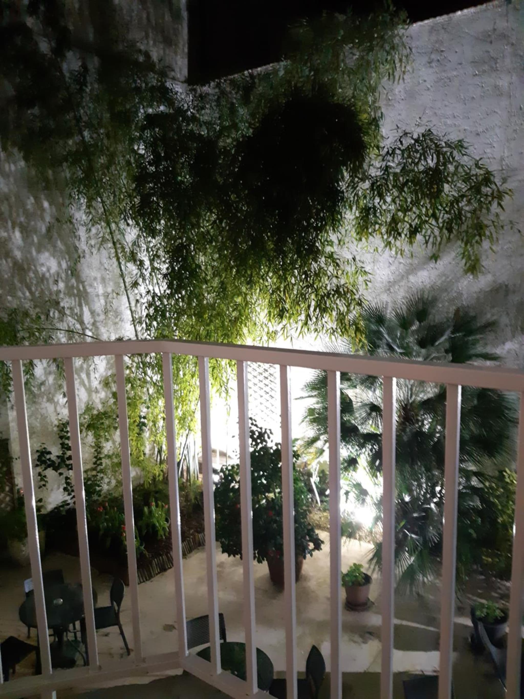 Hôtel Orchidée photo 5
