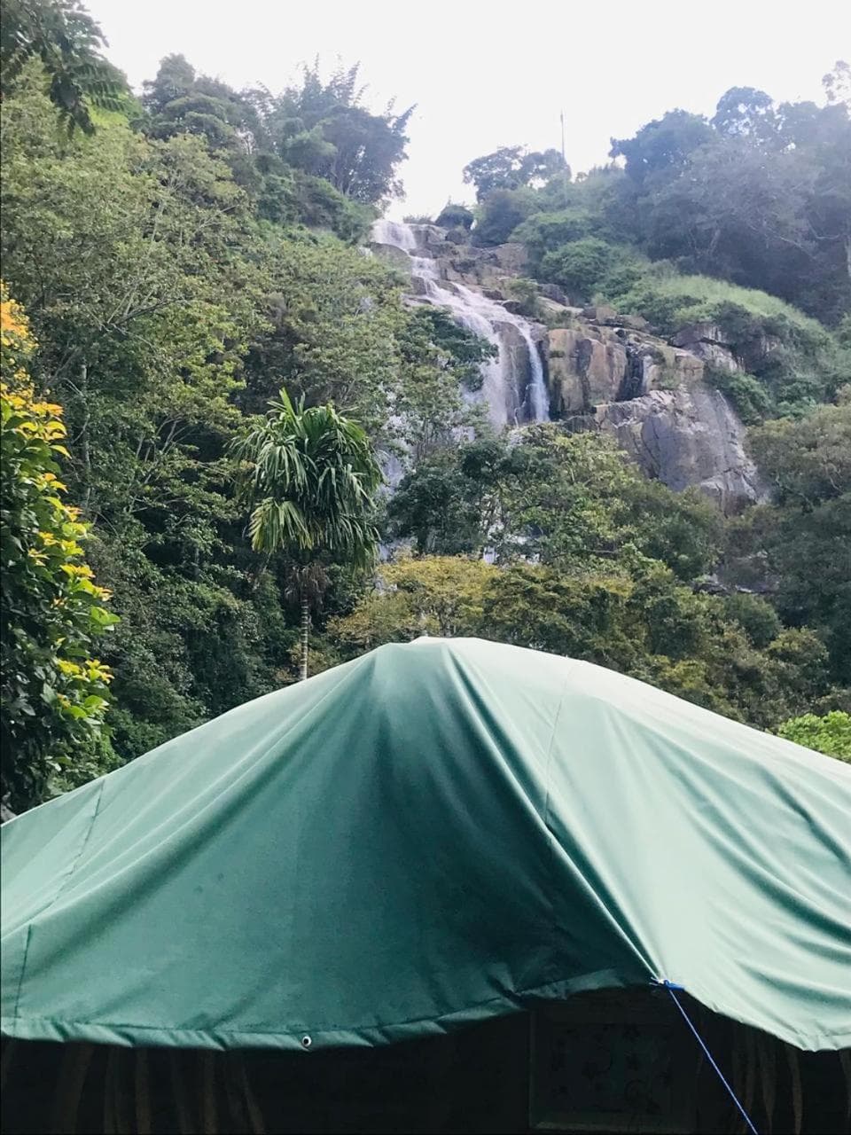 Ella Jungle Rock photo 8