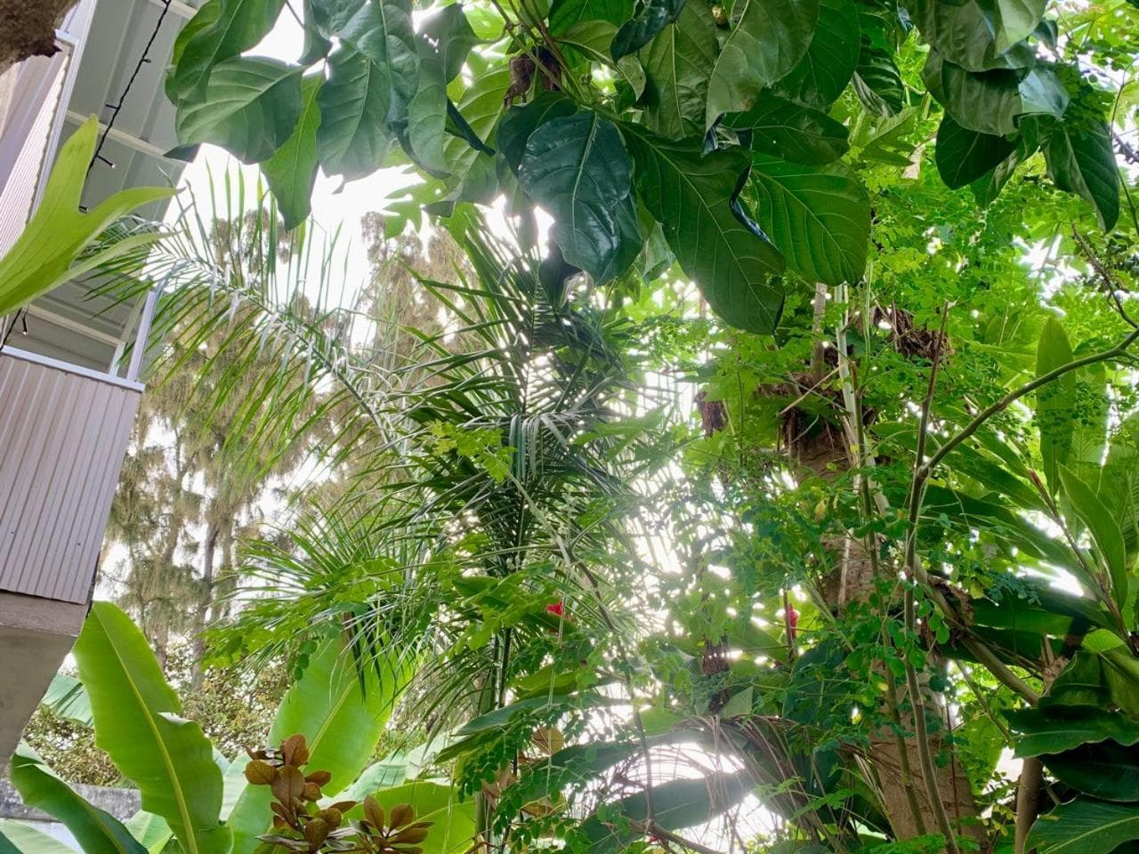 Oasis 2 photo 6
