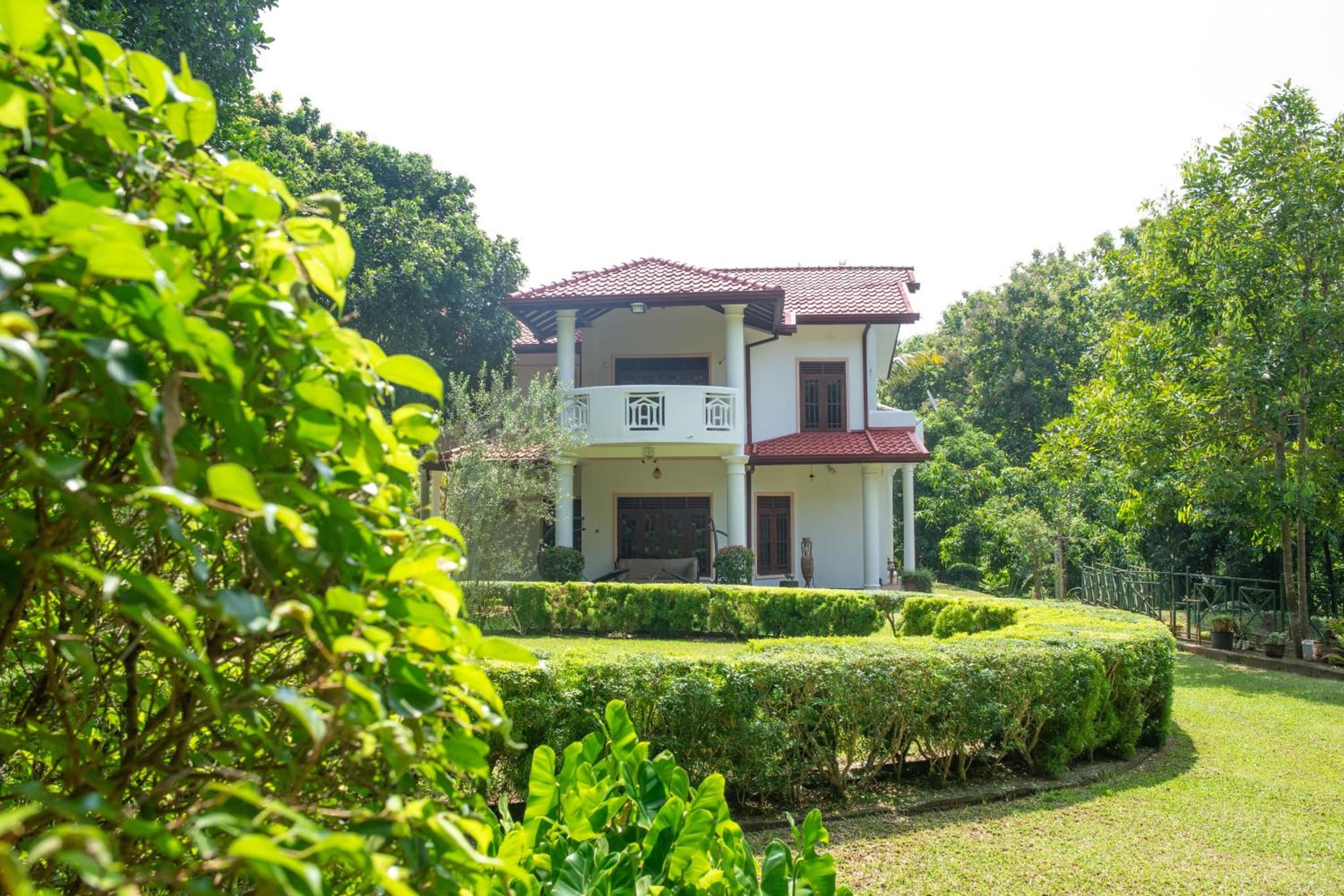 The Jungle Pearl Hotel