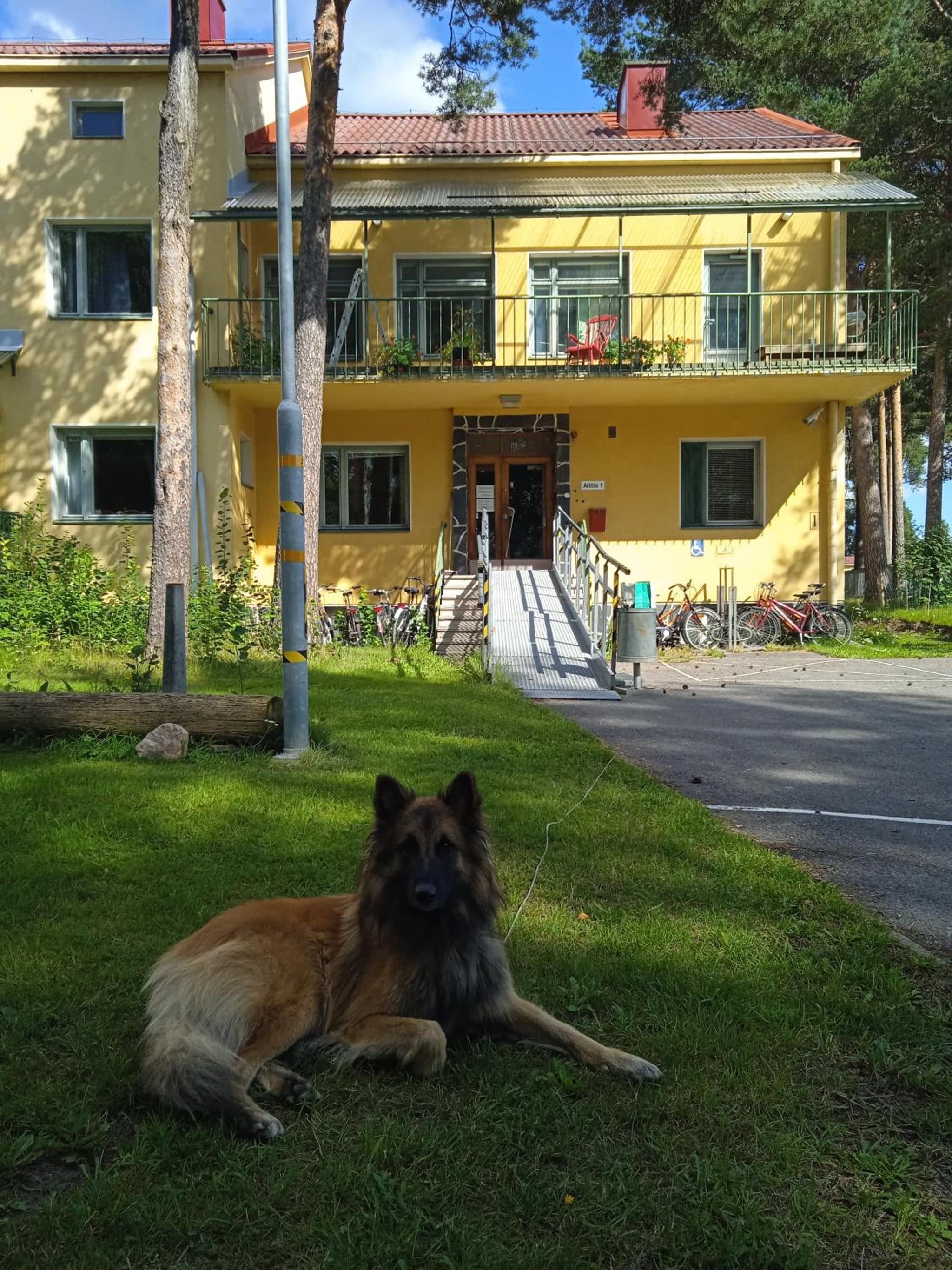 OuluHostel AlliMaria photo 4