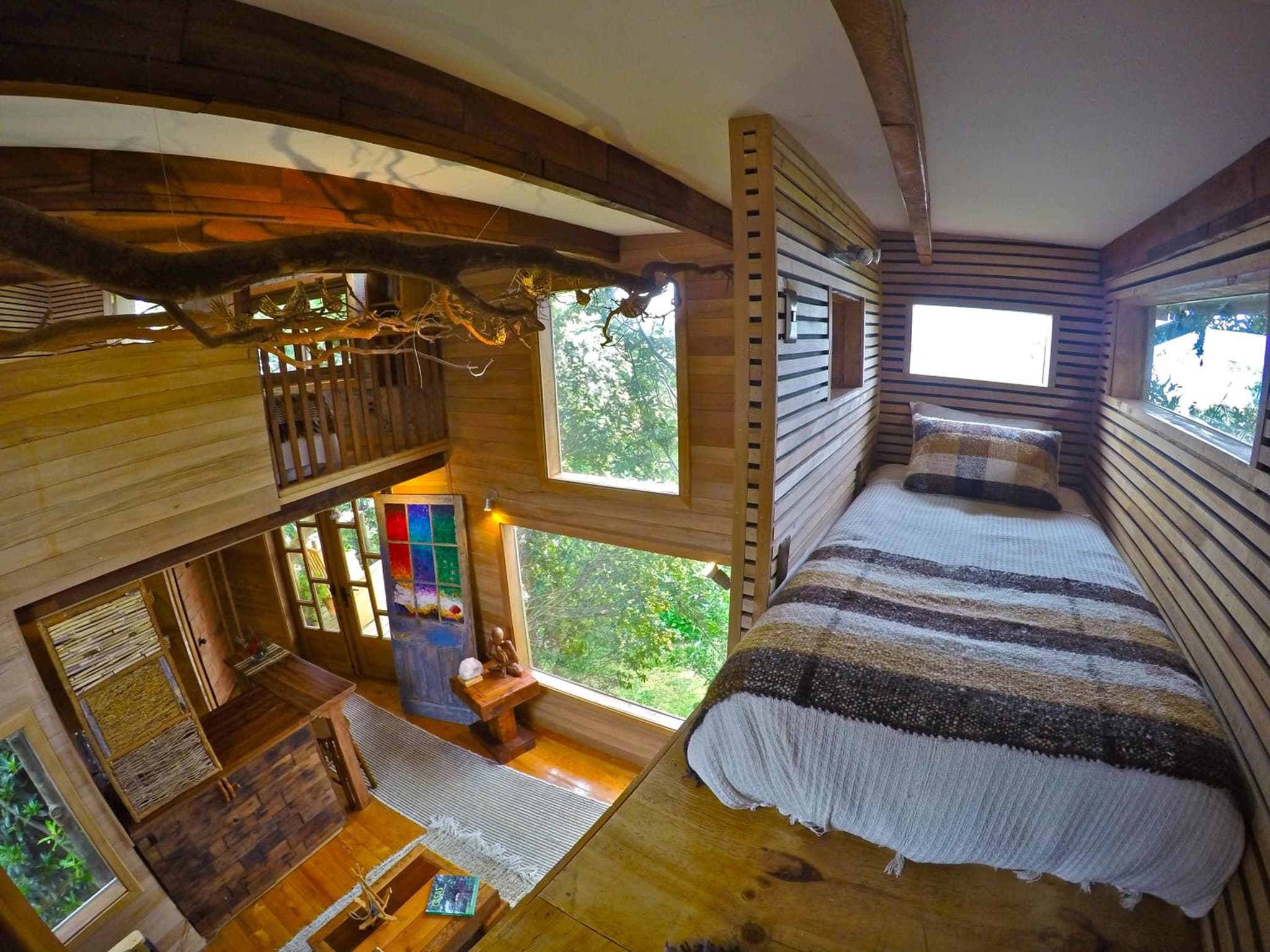 La Casa Del Árbol De Chiloé photo 3