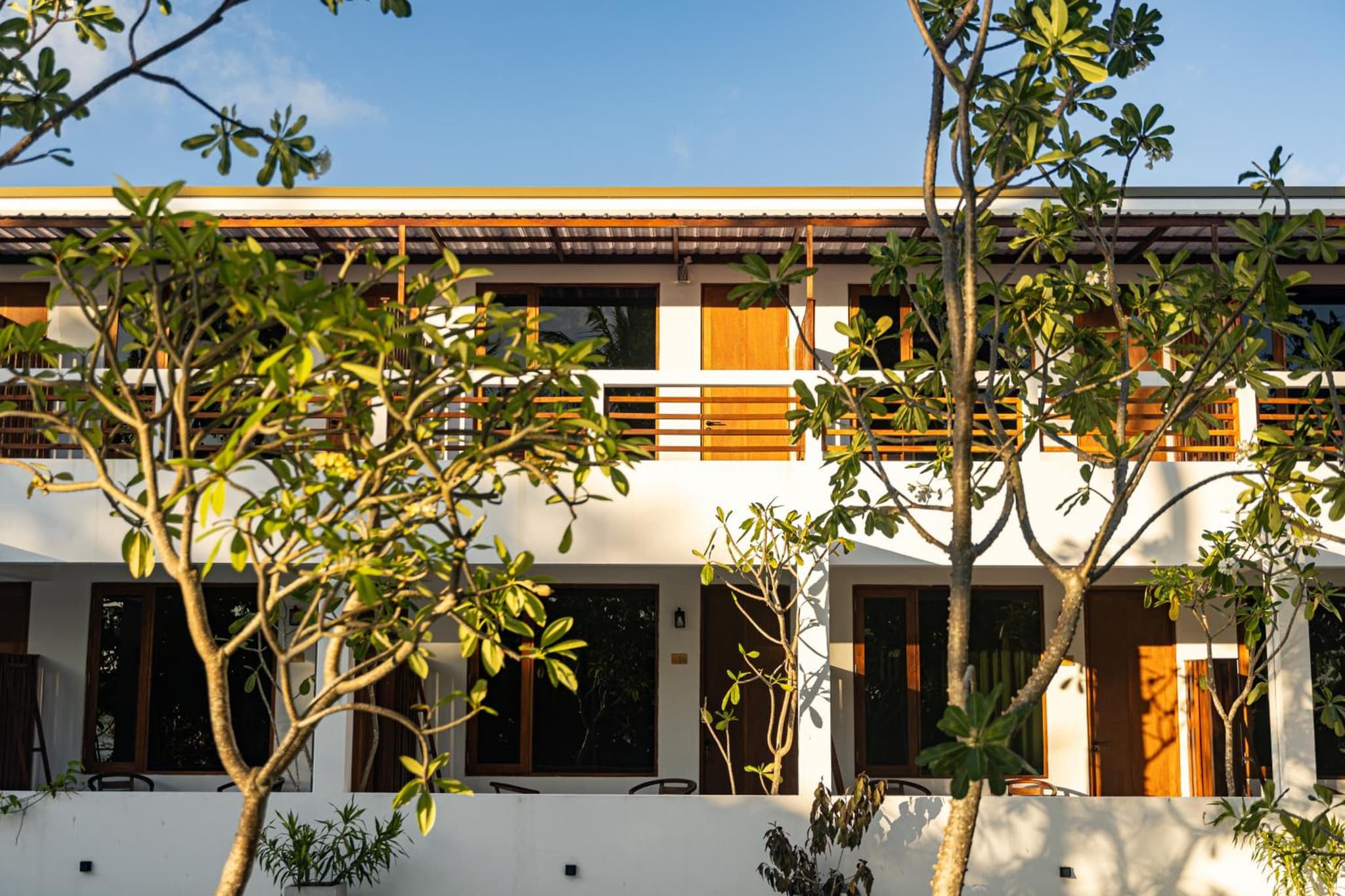 Zen Inn Fulhadhoo photo 2