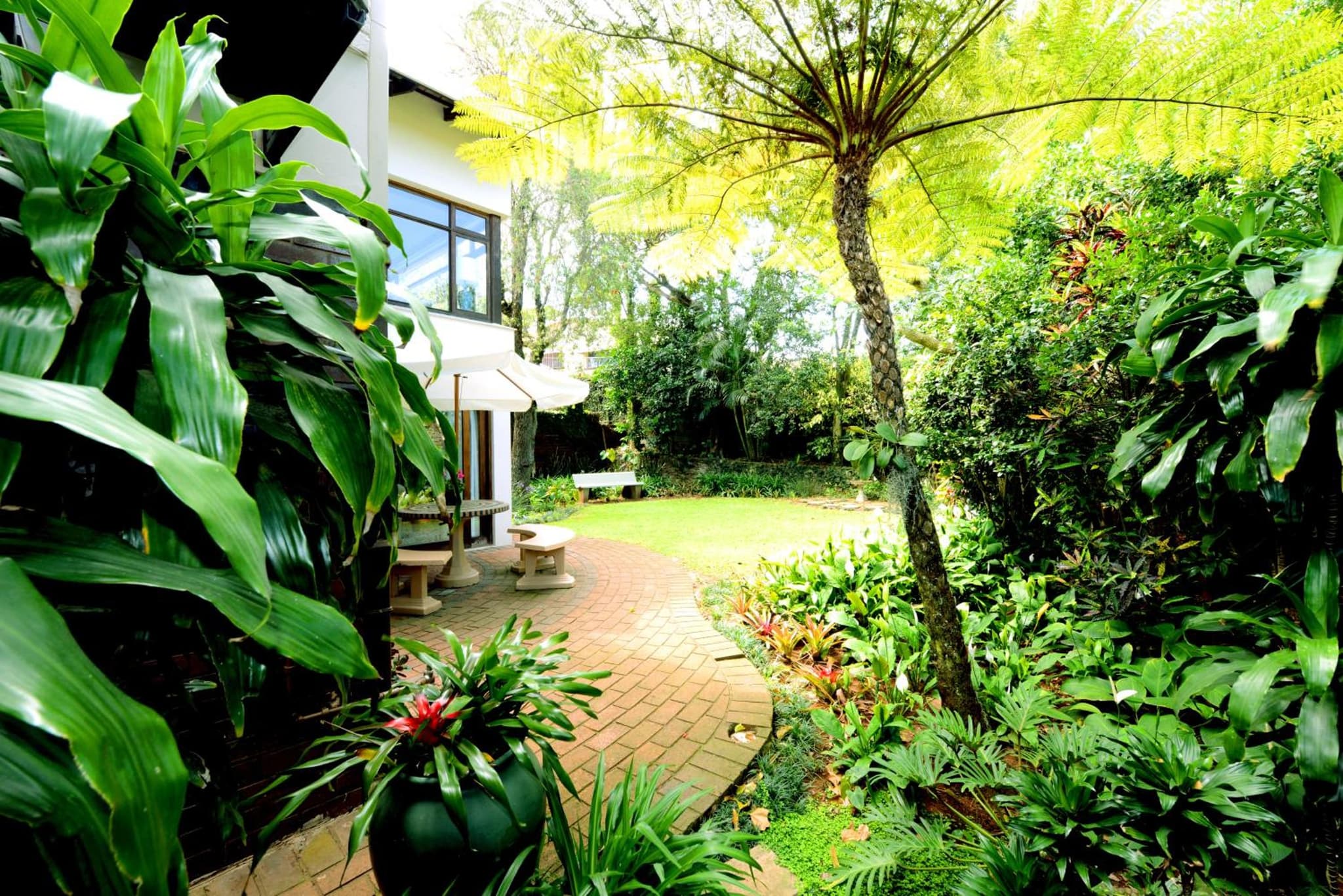 Oliveroom Self Catering and B&B photo 5