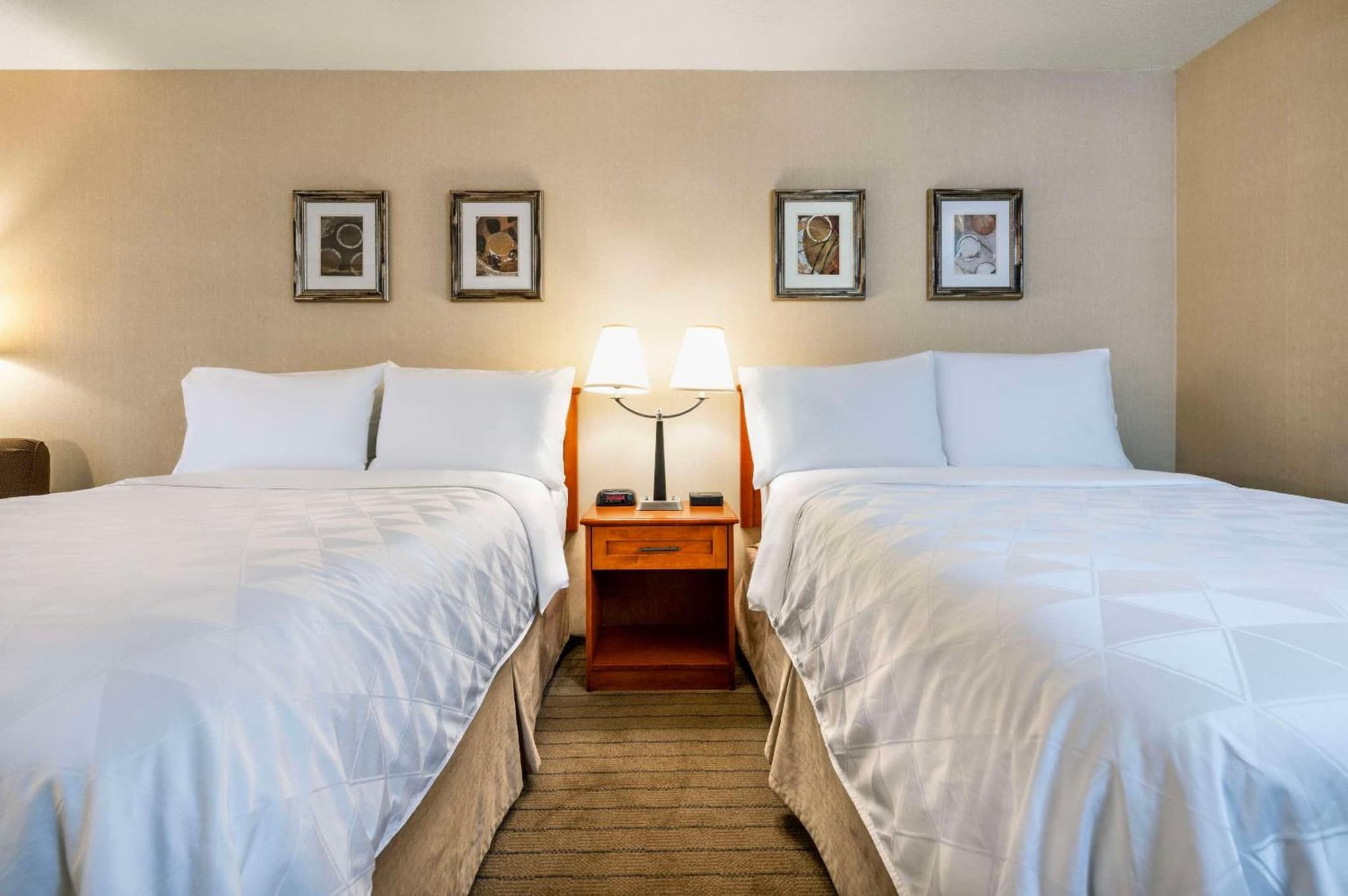 Allure Hotel & Conference Center photo 3