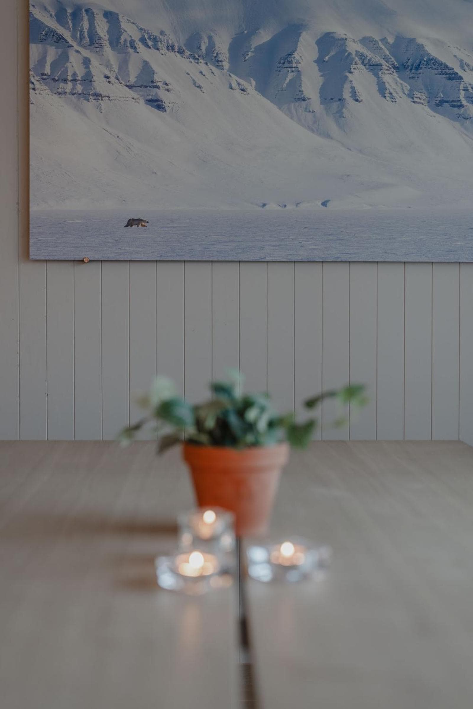 Longyearbyen Apartment photo 5