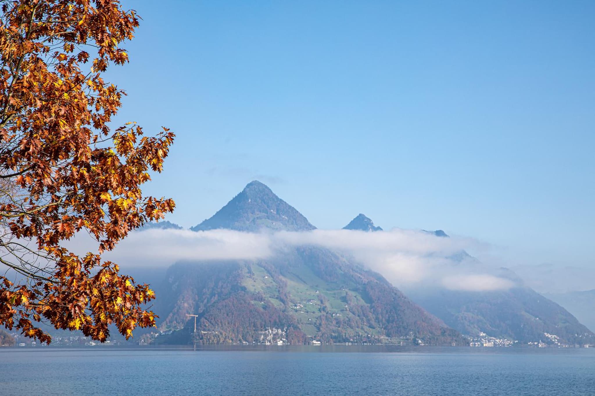 Rigiblick am See photo 8