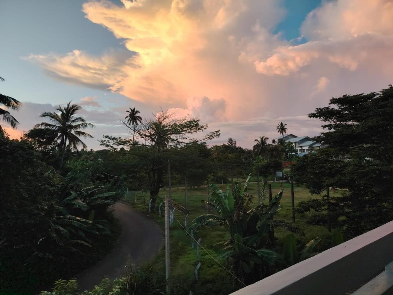 Banyan Scape Villa photo 2