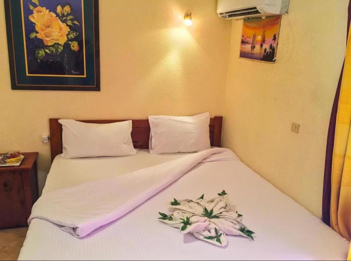 Golden Europe Hotel photo 8