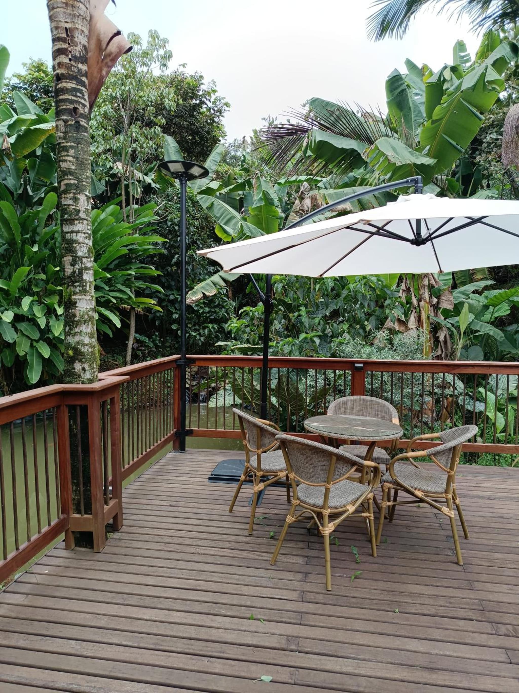 Finca MonteSer photo 8