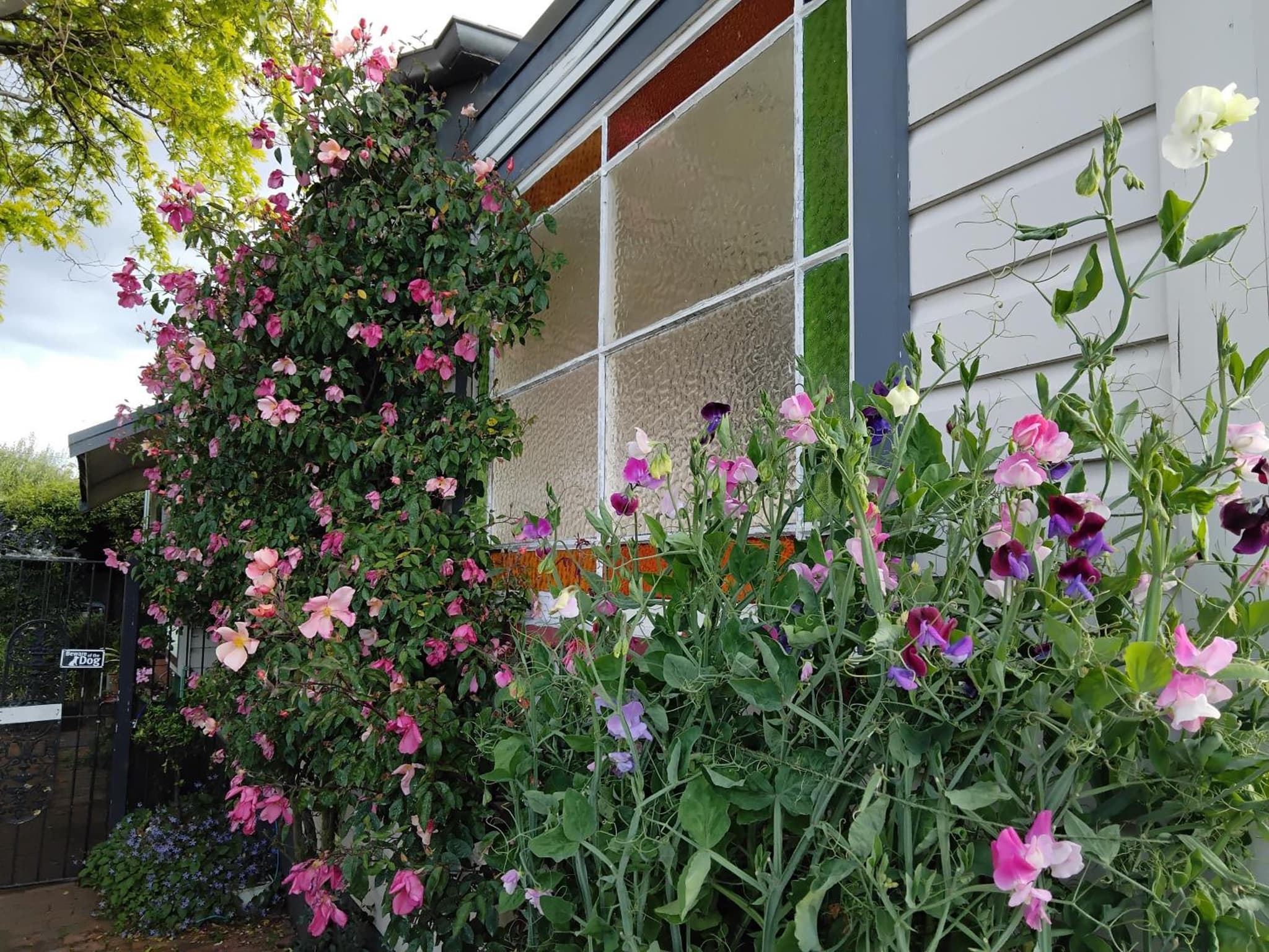 Guthrie Cottage photo 4