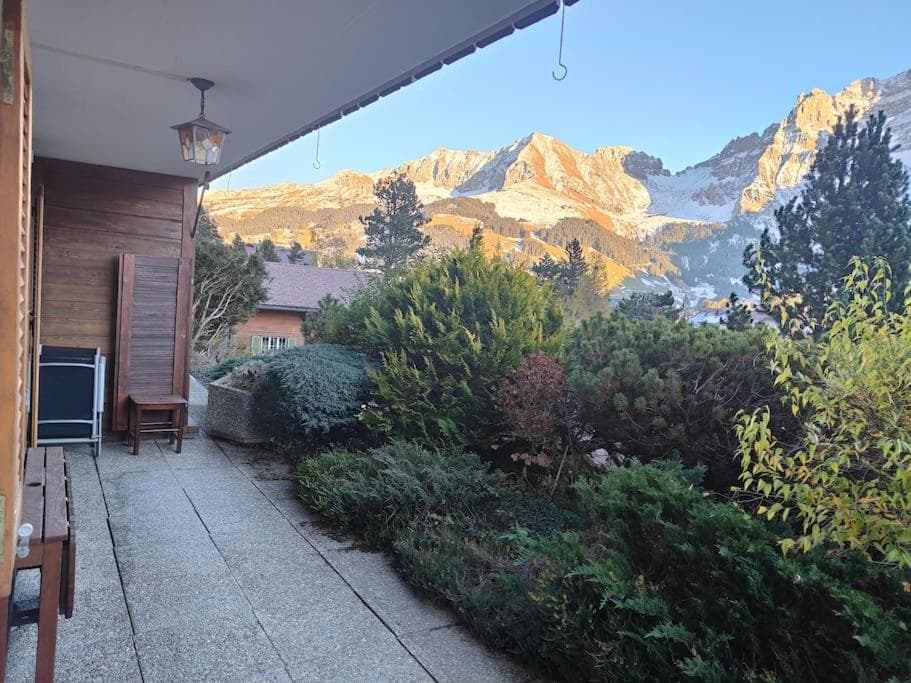 Skirennen von der Terrasse mitverfolgen photo 5