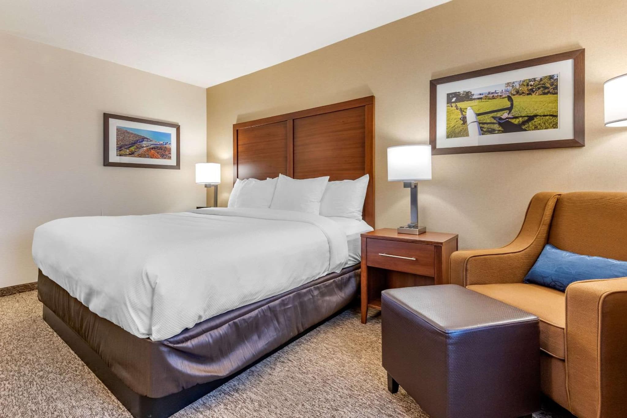 Comfort Inn & Suites photo 5