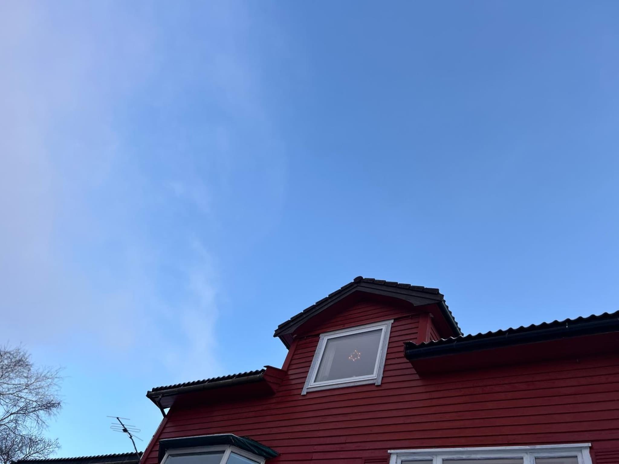 Line på Hauane1 photo 8