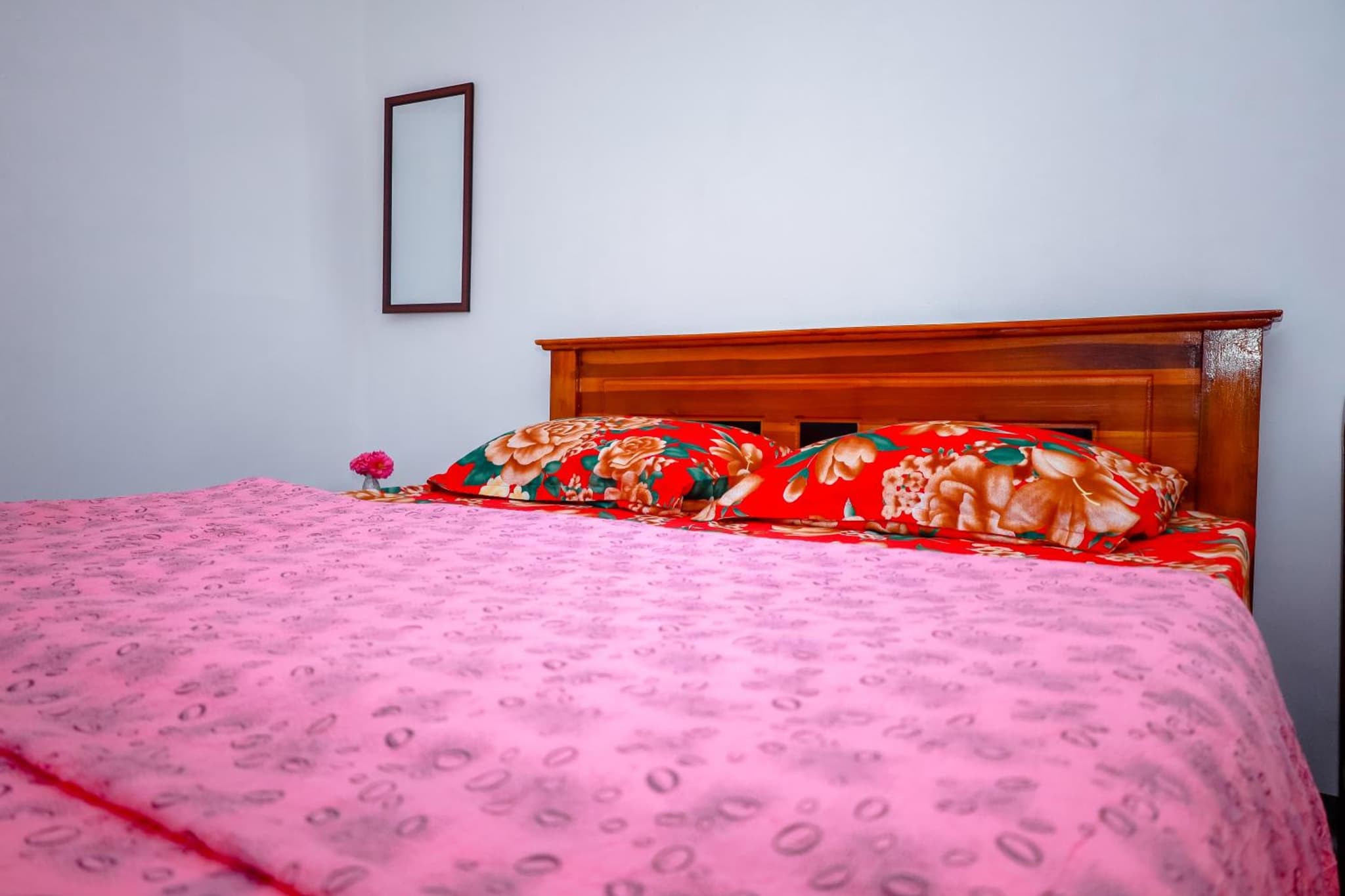 Peace Nest photo 8
