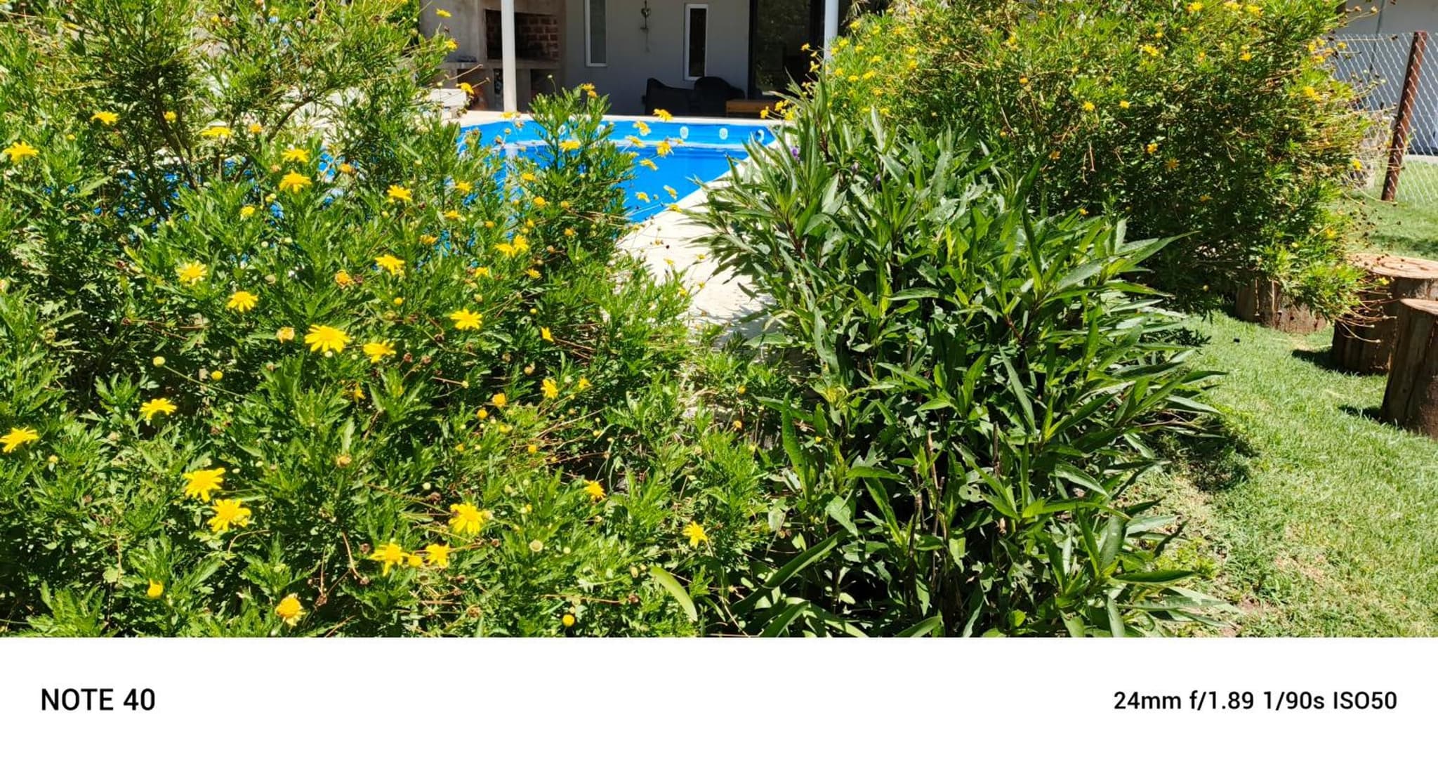 Cabañas Del Sol photo 7
