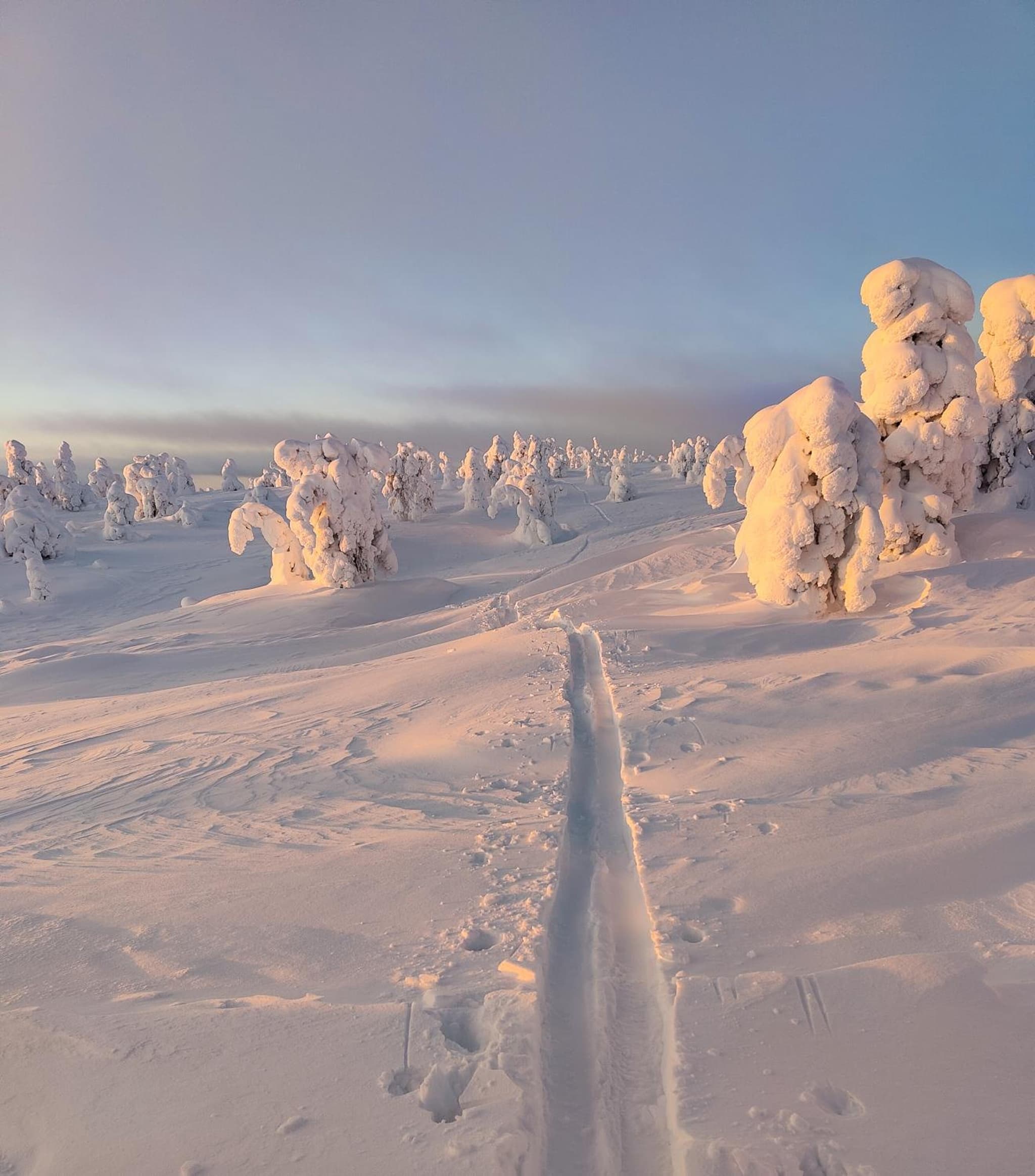 Rantaruka 4 D2 Korpikelo photo 3