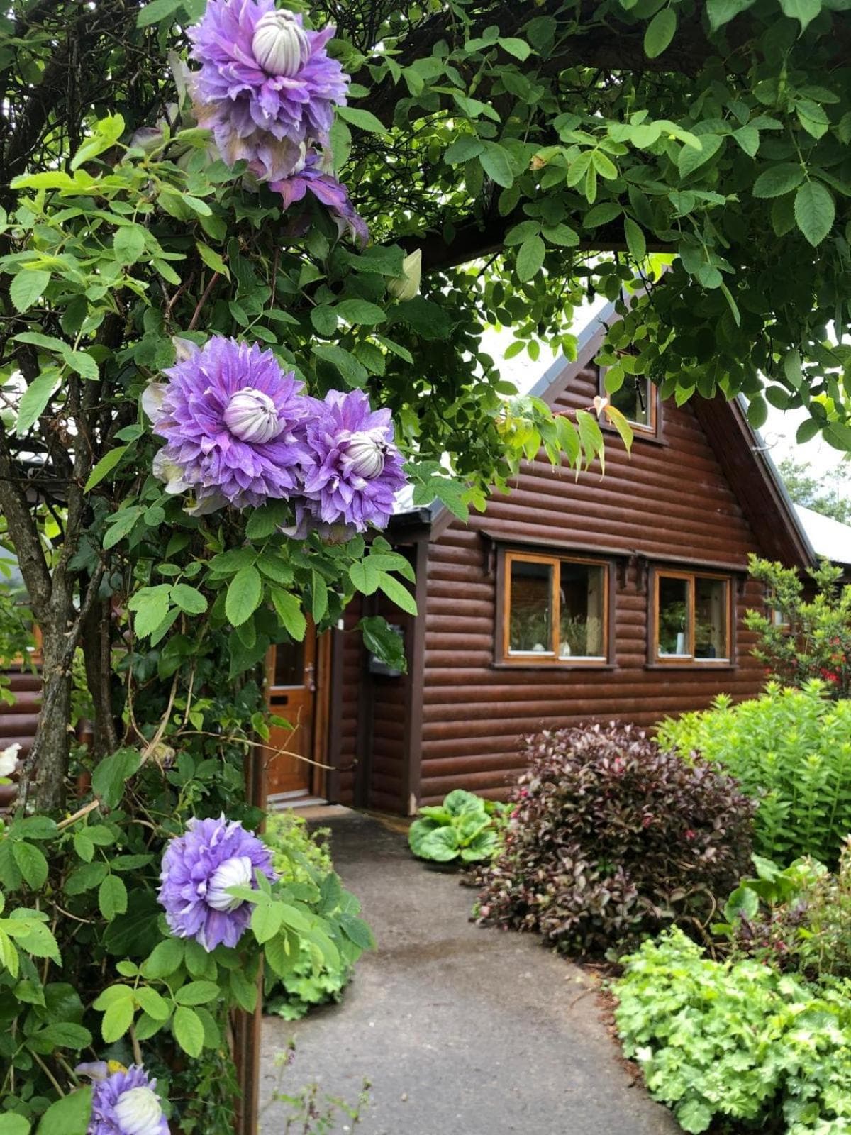 Fern Lodge. Drumcoura Lake Resort, photo 4