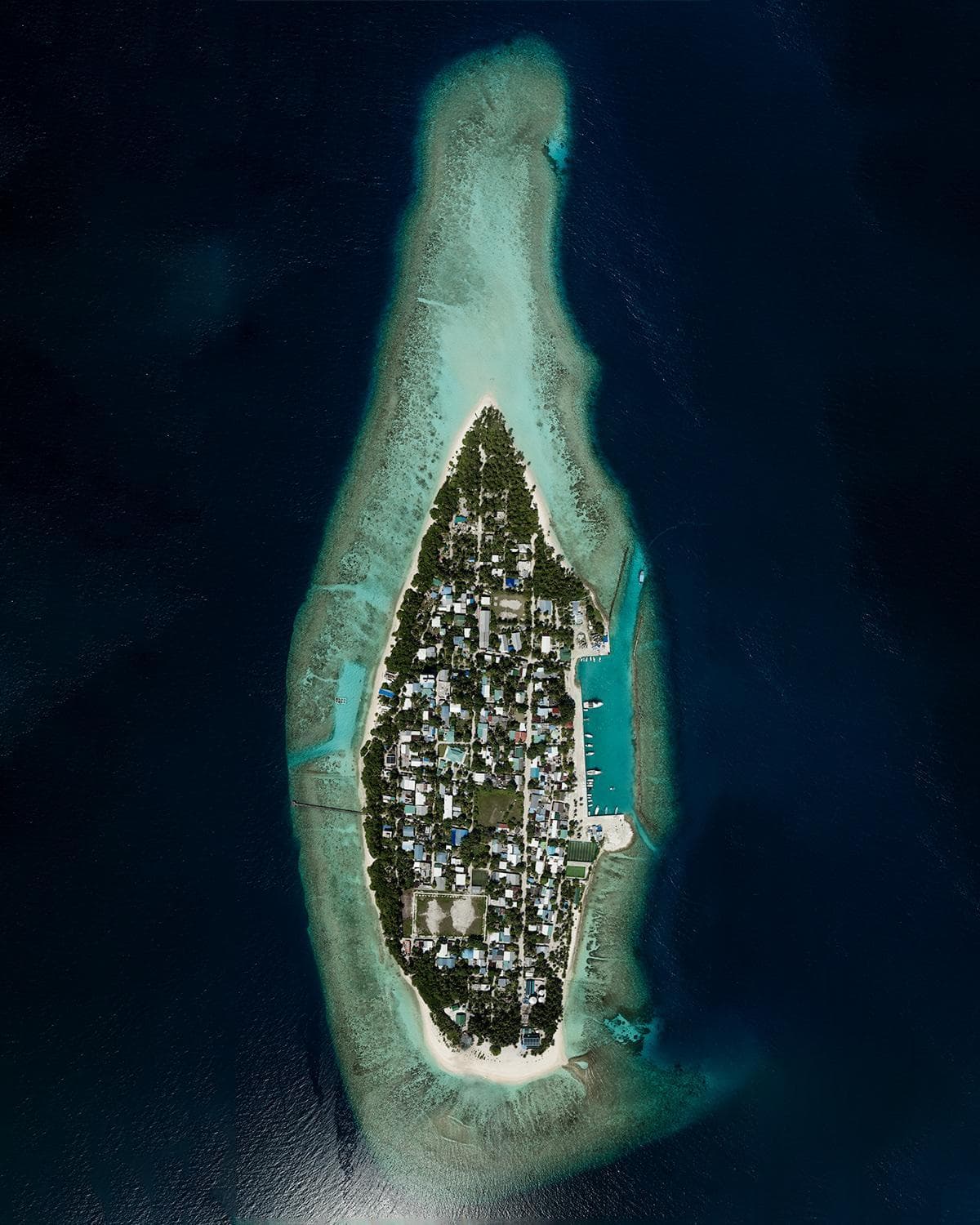 Kirulhiya Maldives Hotel photo 8