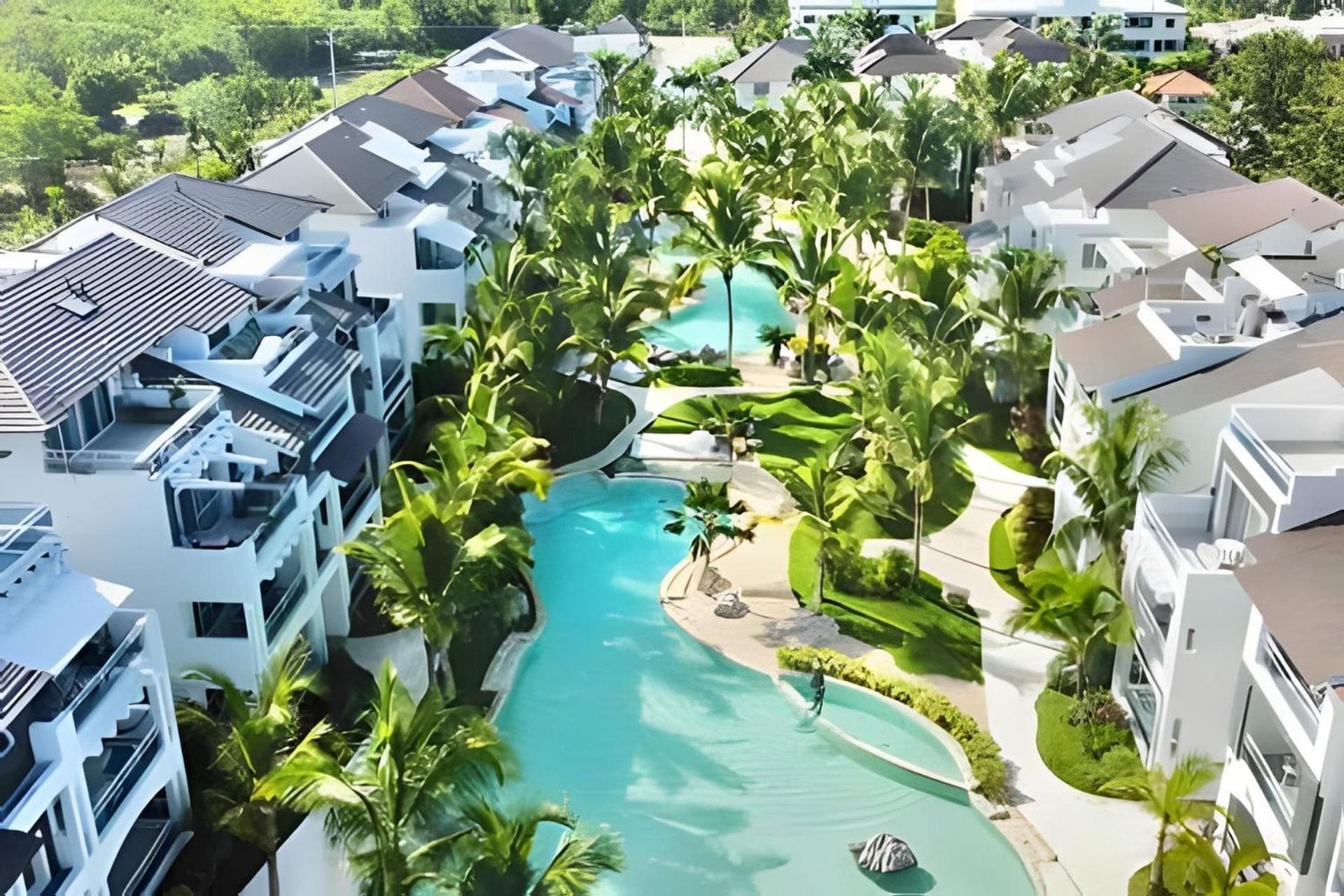 Estrella Dominicus Advantage