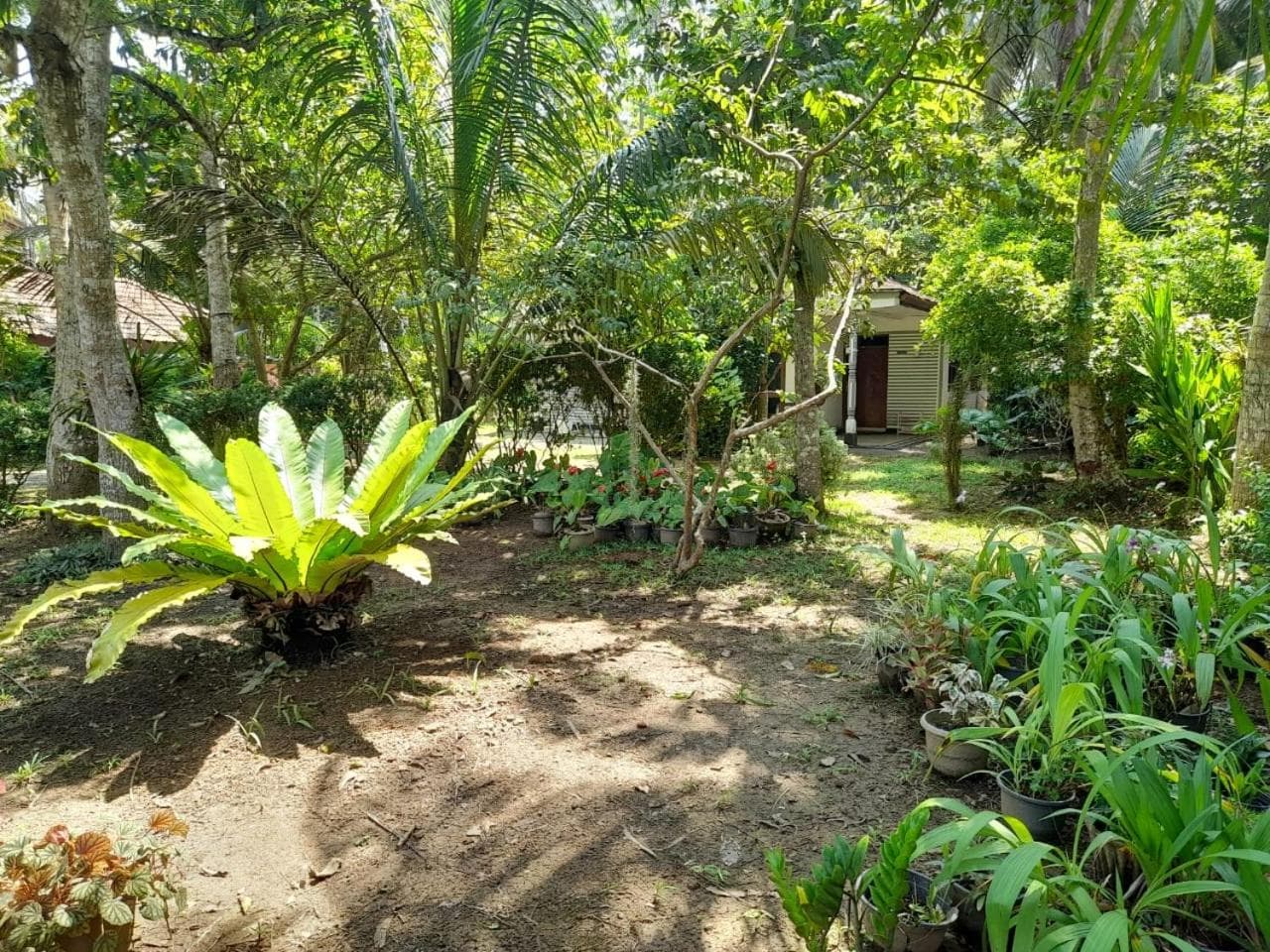Senarath Villa photo 4