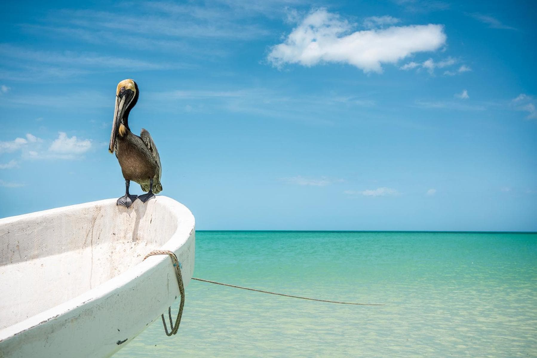 Holbox island Casa Impala photo 4
