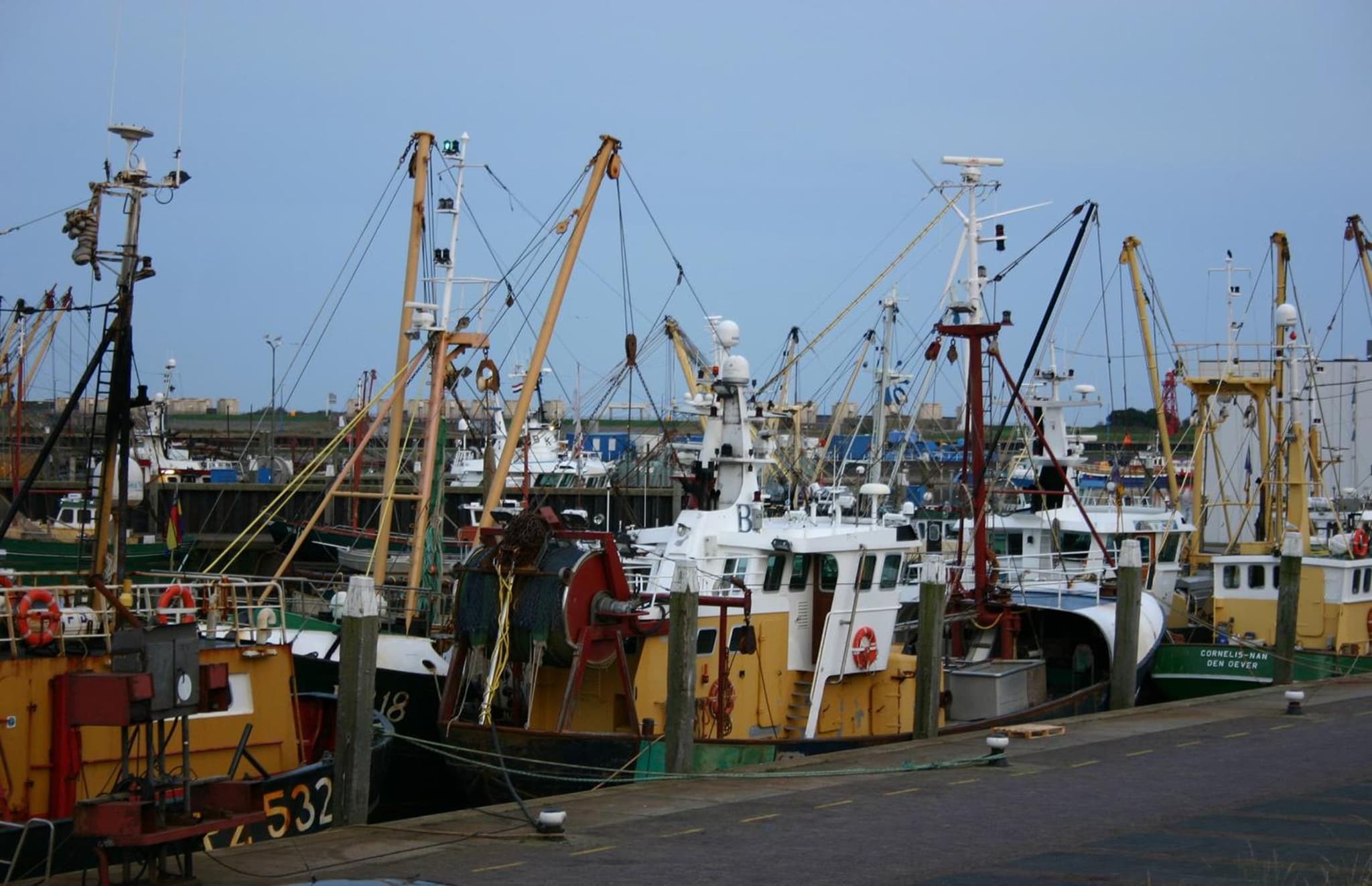 Het Huis van de Wadden photo 7