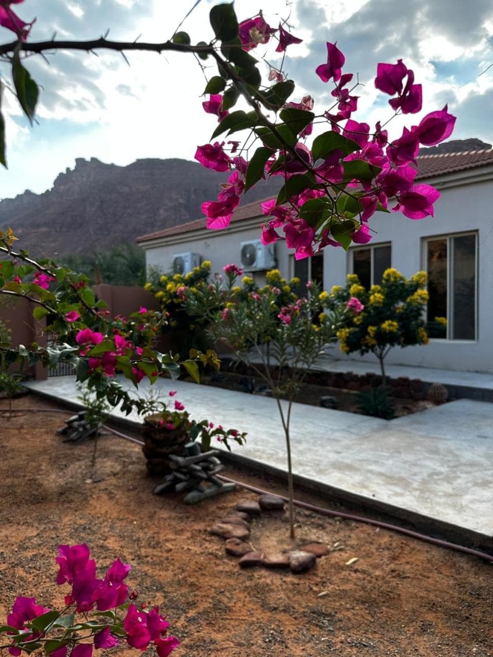 فيلا بمزرعة photo 7