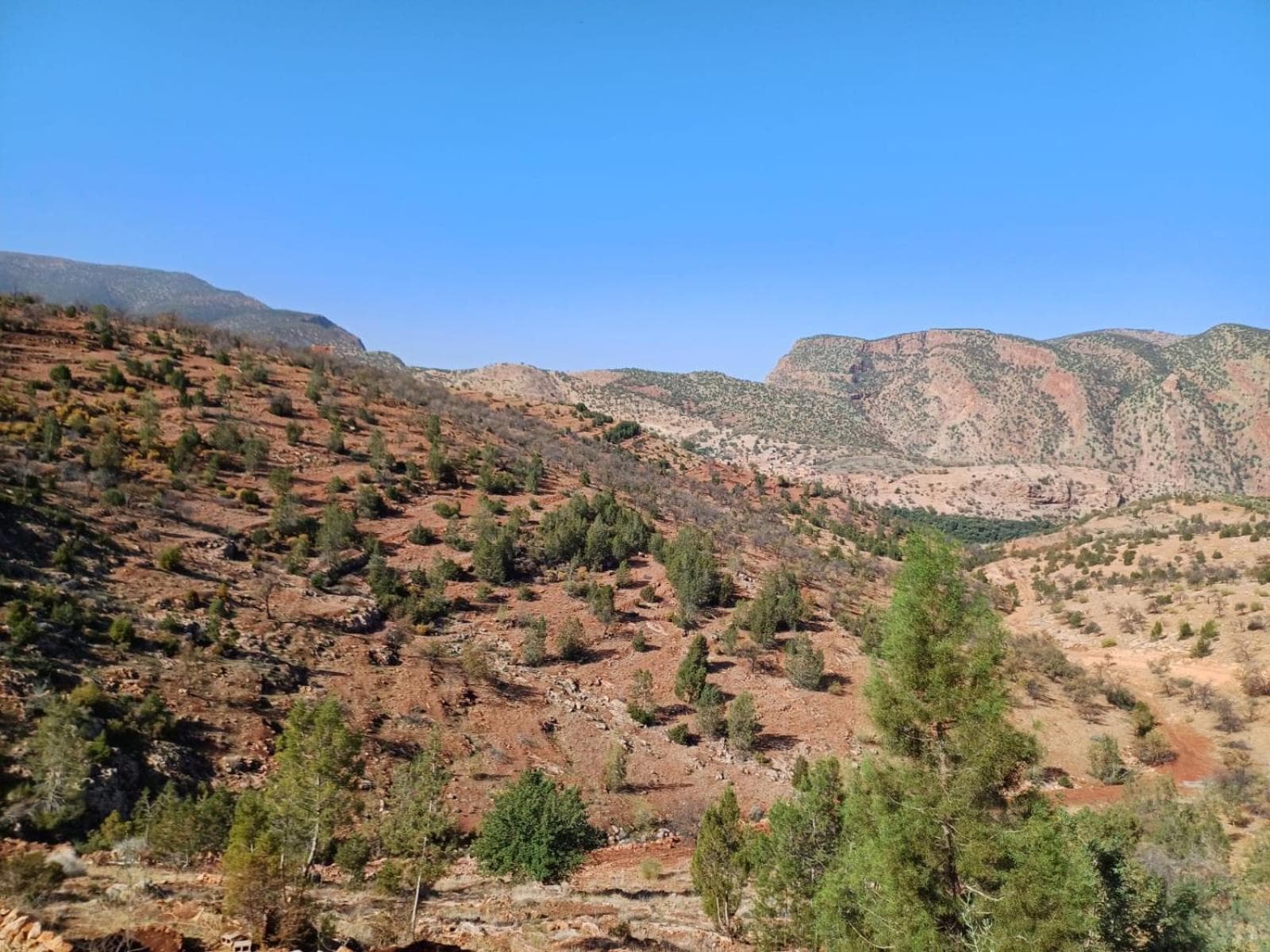 Riad Heermans photo 2