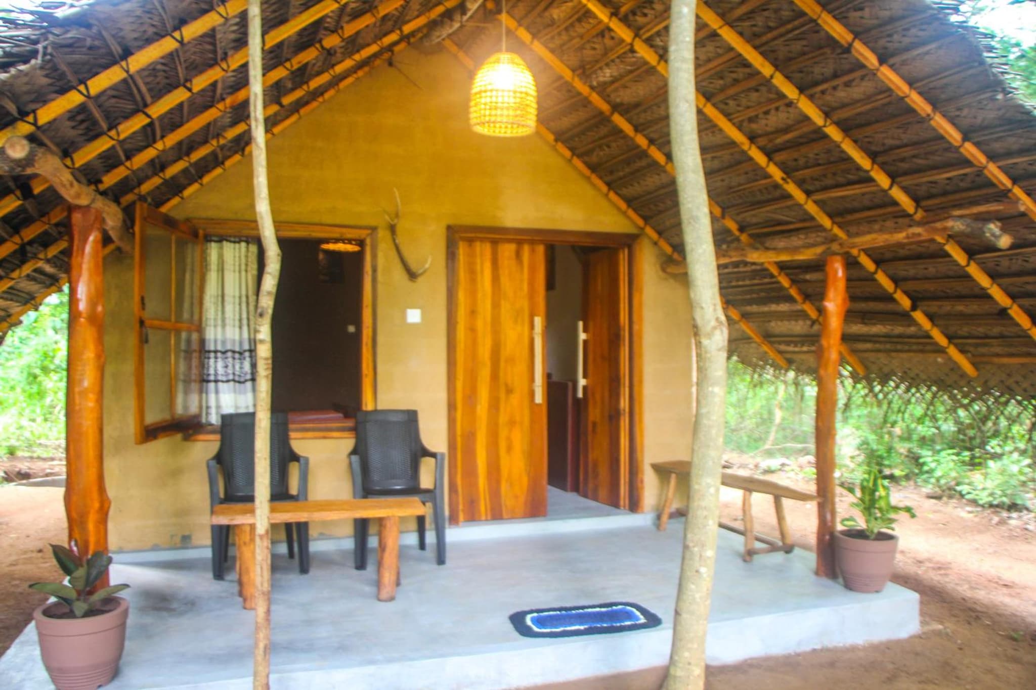 Jungle Host Hostel And Tree House photo 3
